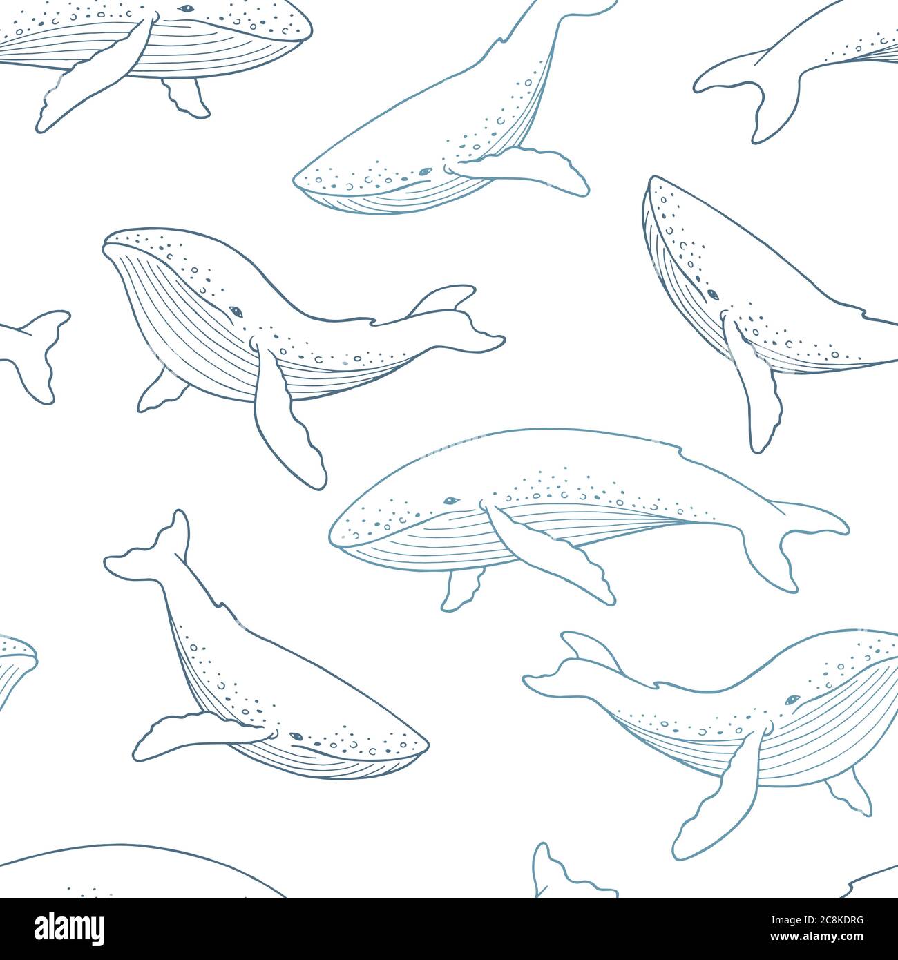 Motif baleine bleu couleur motif sans couture illustration vectorielle Illustration de Vecteur