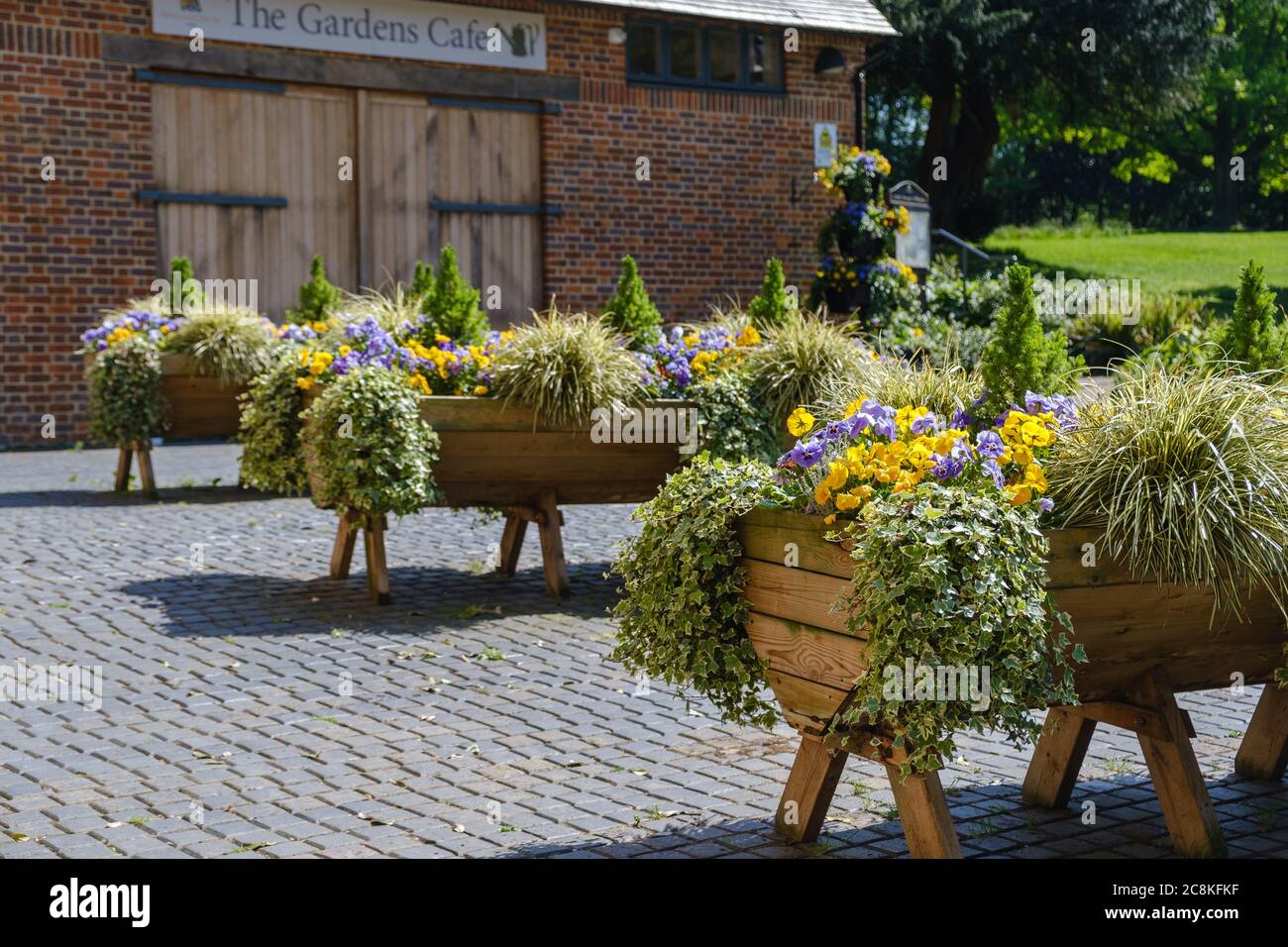 Jardinières en bois aux fleurs pourpres et jaunes et au feuillage d'Eastcote House Gardens Hillingdon Middlesex, dans le nord-ouest de Londres. Banque D'Images