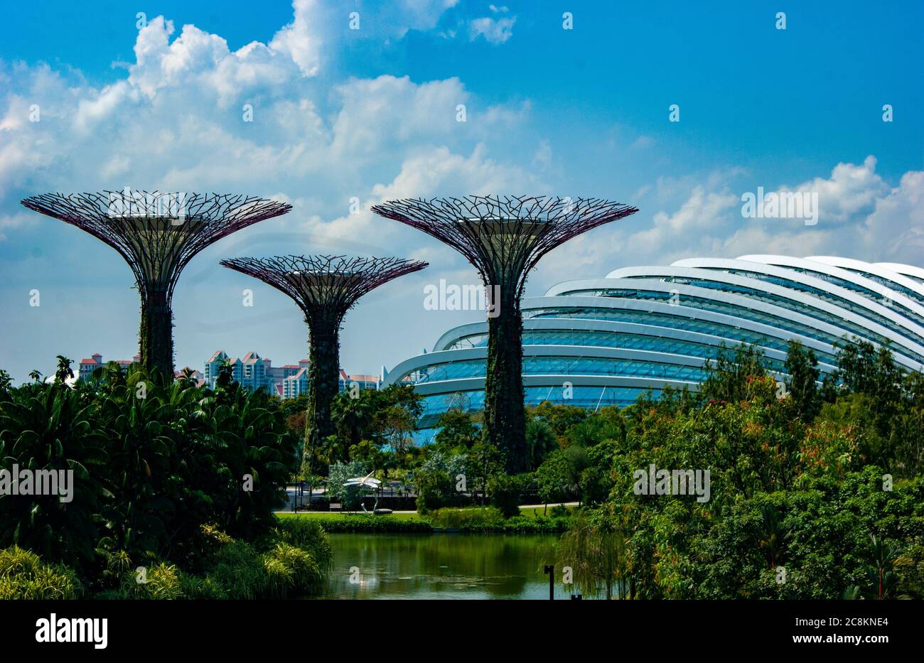 Jardin de Singapour par la baie Banque D'Images