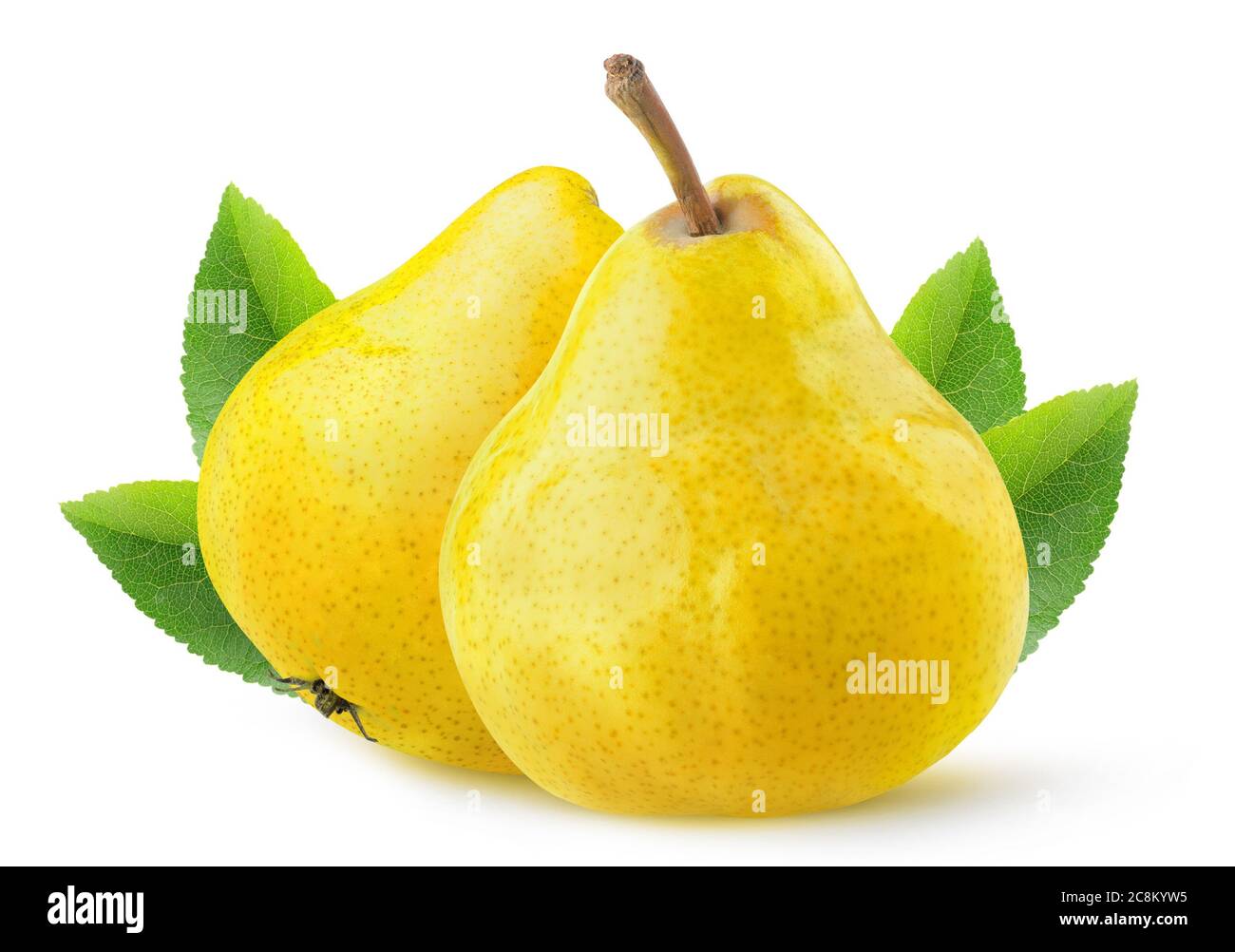 Poires isolées. Deux fruits de poire jaunes entiers isolés sur fond blanc avec des feuilles Banque D'Images