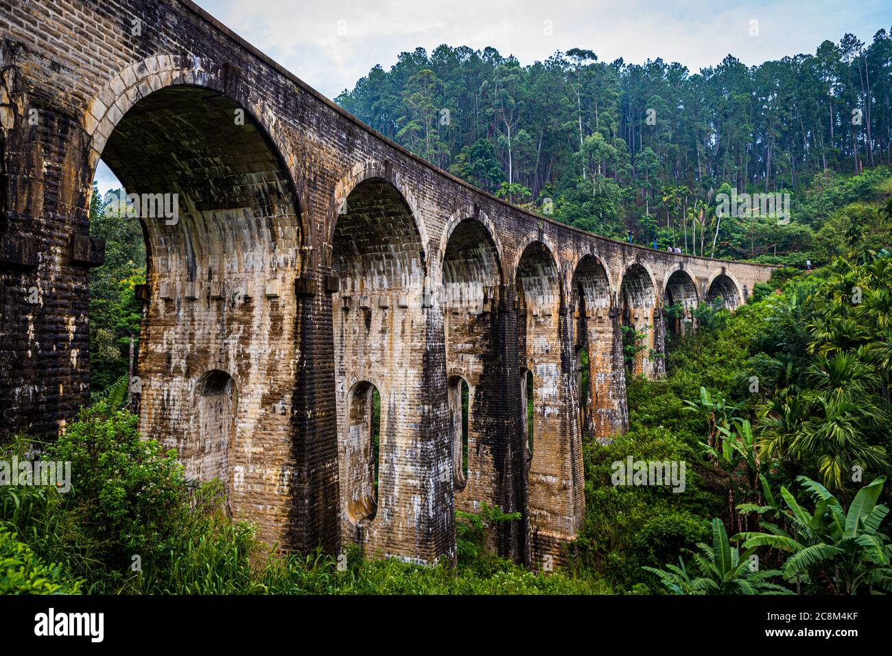 Pont de Nine Arch vu d'en bas à Ella, Sri Lanka Banque D'Images