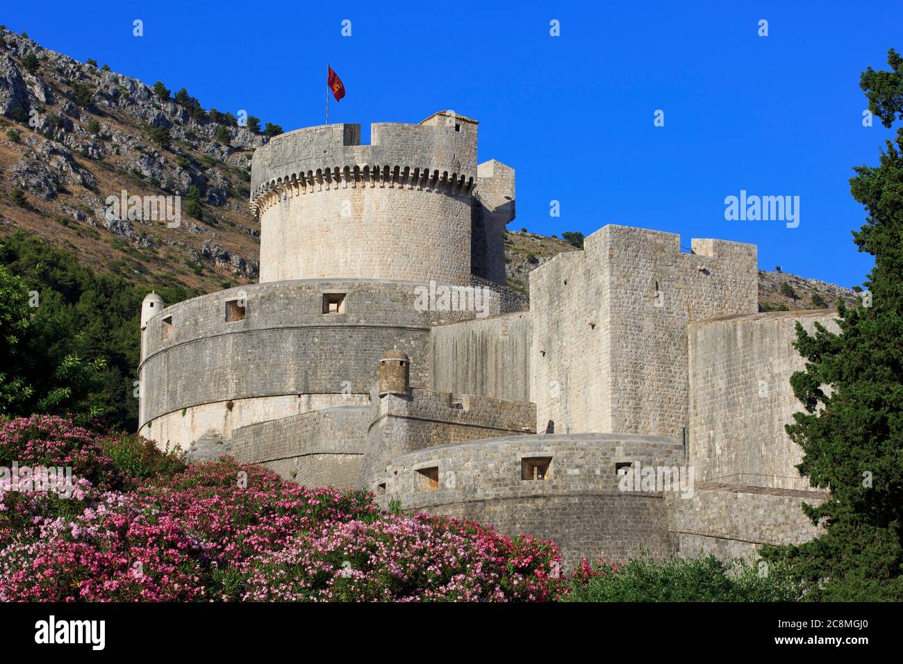 La Tour Minceta (1464) à la vieille ville (site classé au patrimoine mondial de l'UNESCO) de Dubrovnik, Croatie, lors d'une belle journée d'été Banque D'Images