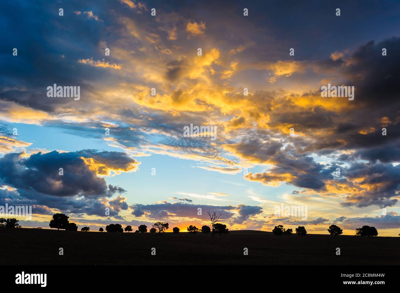 Un coucher de soleil emblématique de l'outback près de Parkes en Nouvelle-Galles du Sud, en Australie. Banque D'Images