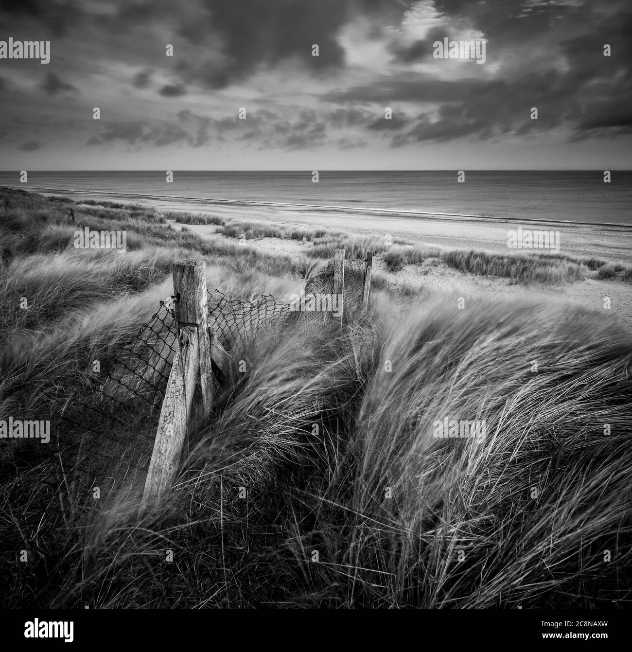 Une vieille clôture dans l'herbe de maram lors d'une journée venteuse sur la côte de Norfolk. Banque D'Images