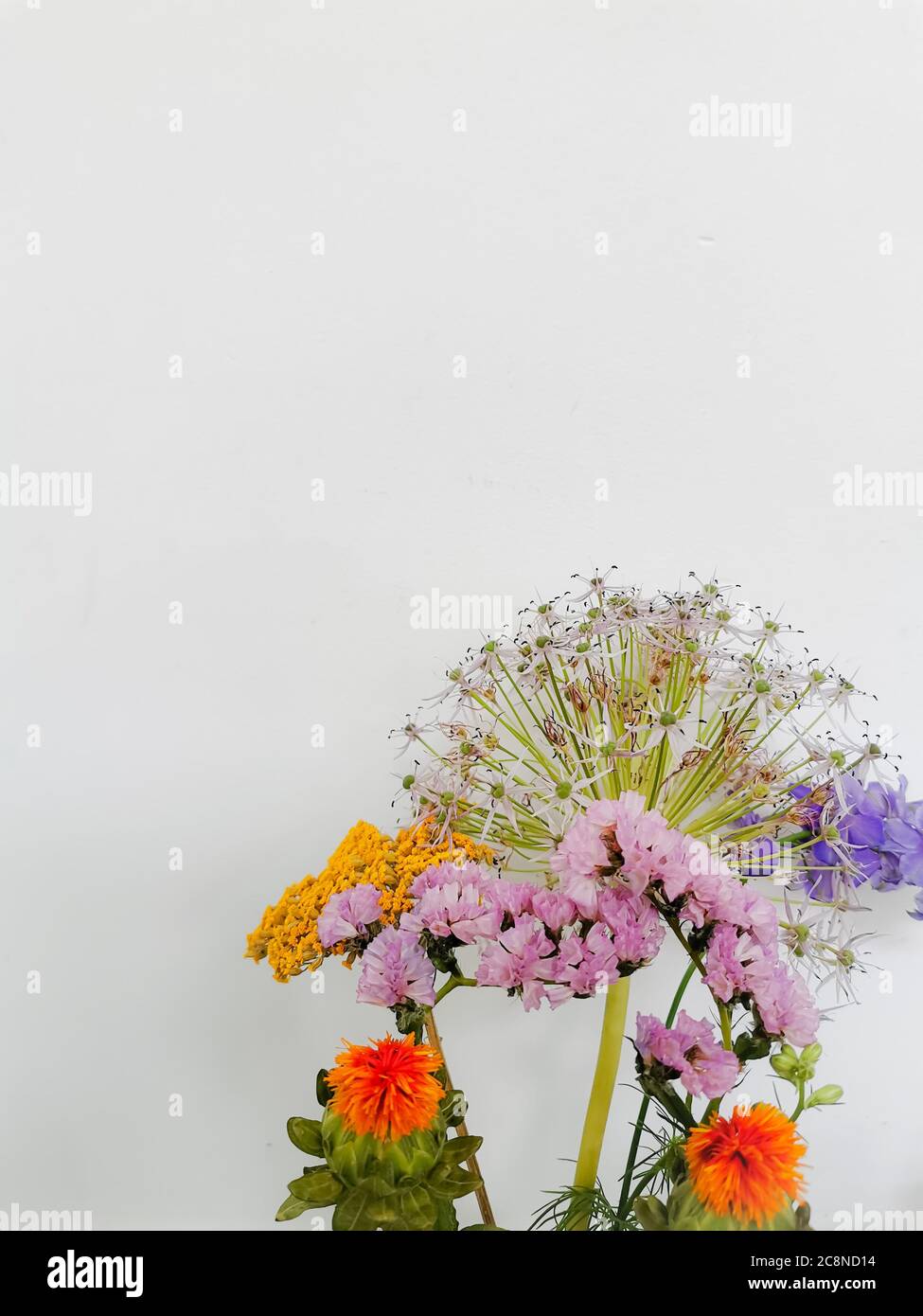 Petit bouquet de fleurs sauvages de printemps sur fond blanc Banque D'Images