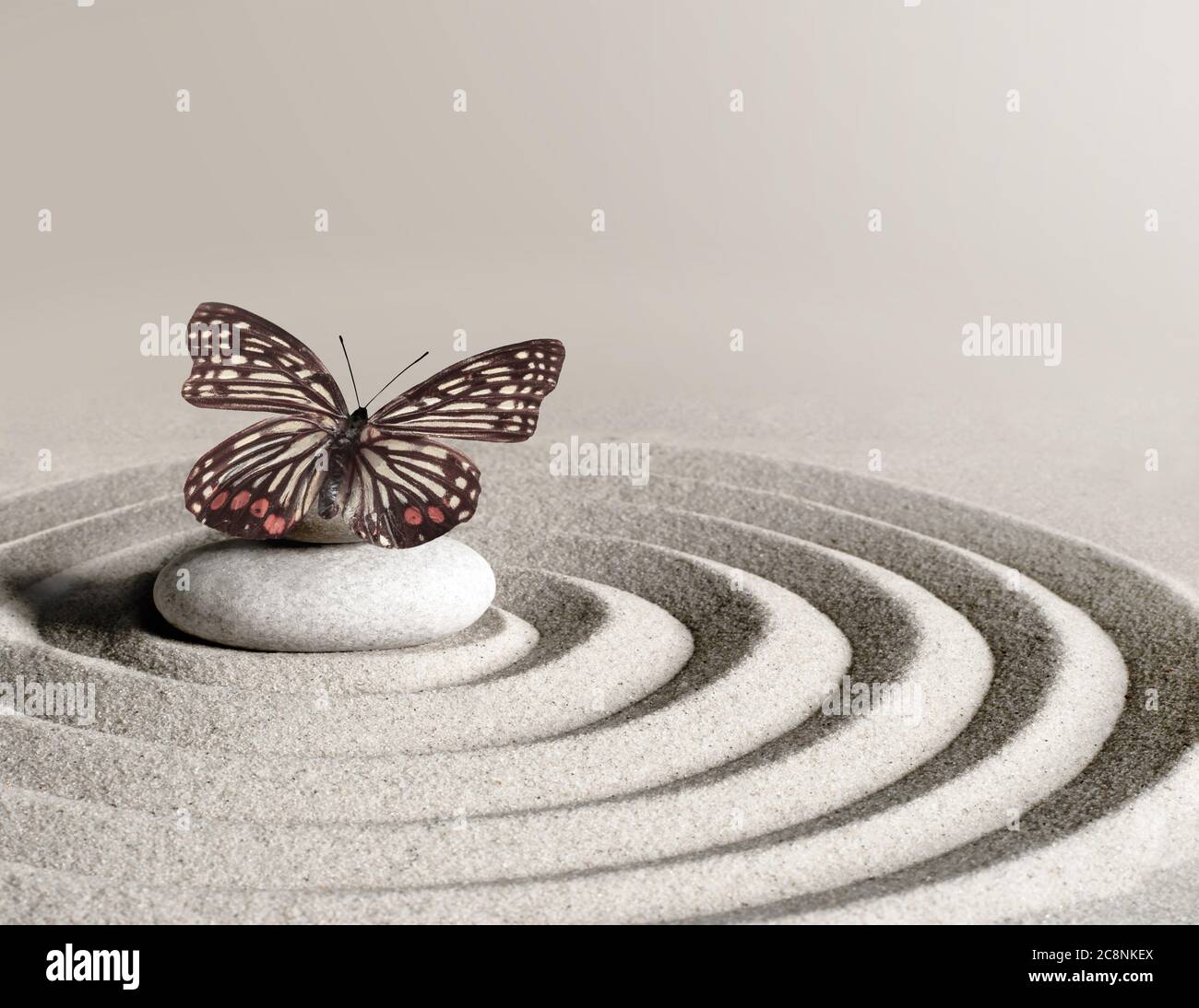 Jardin zen japonais méditation pierre concentration et détente sable et roche avec papillon pour l'harmonie et l'équilibre. Banque D'Images