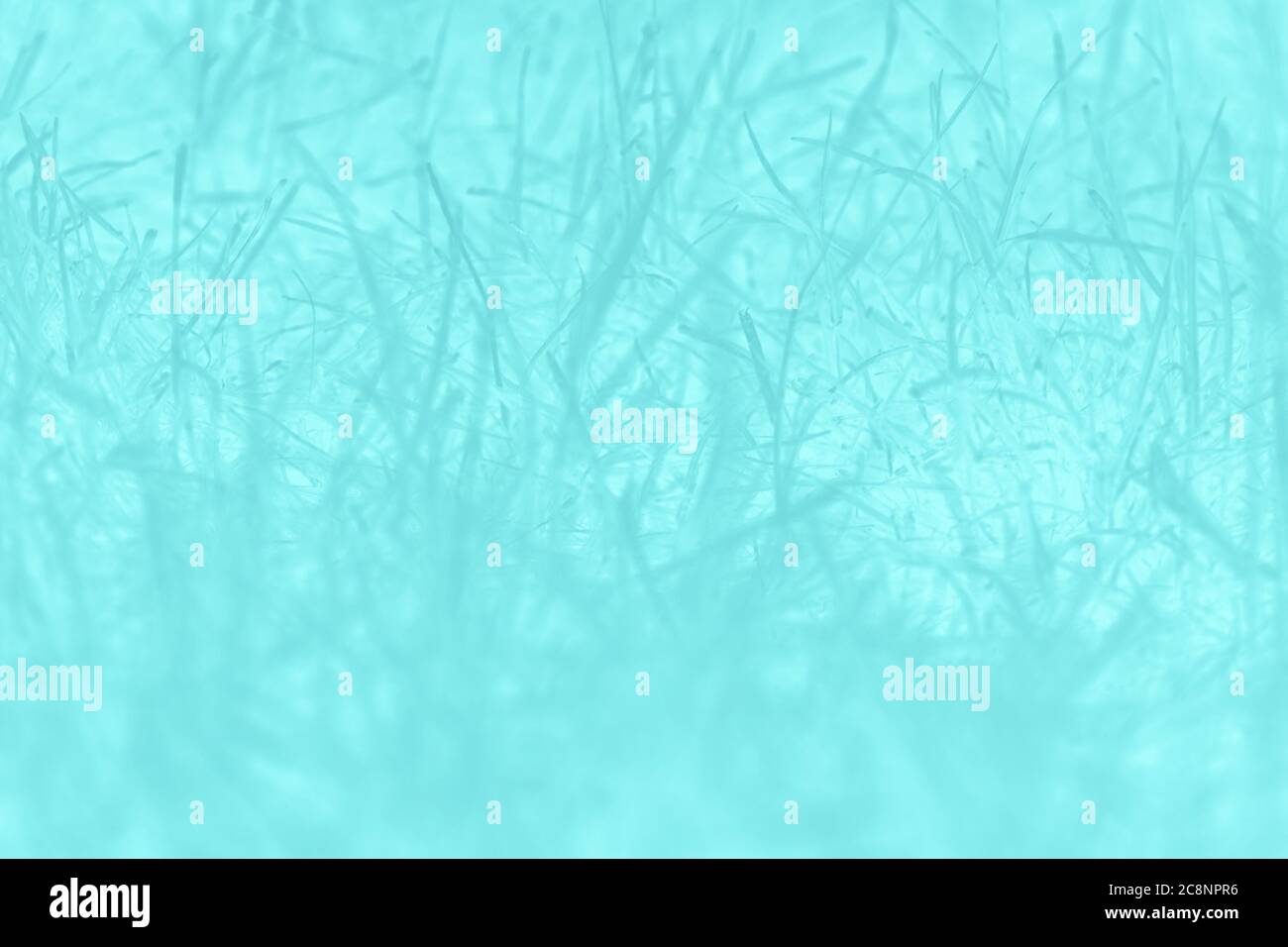 Fond bleu turquoise abstrait avec motif herbe Banque D'Images Fond bleu turquoise abstrait avec motif herbe Banque D'Images