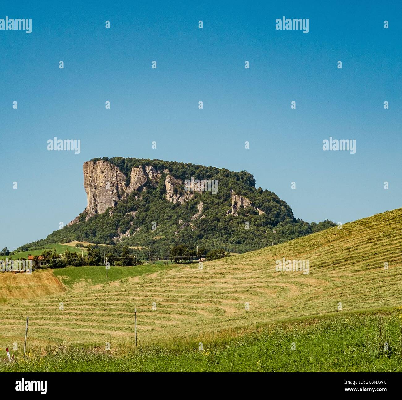 La Pietra di Bismantova (Pierre de Bismantova) vue du sol. Castelnovo ne' Monti, province de Reggio Emilia, Emilie Romagne, Italie. Banque D'Images