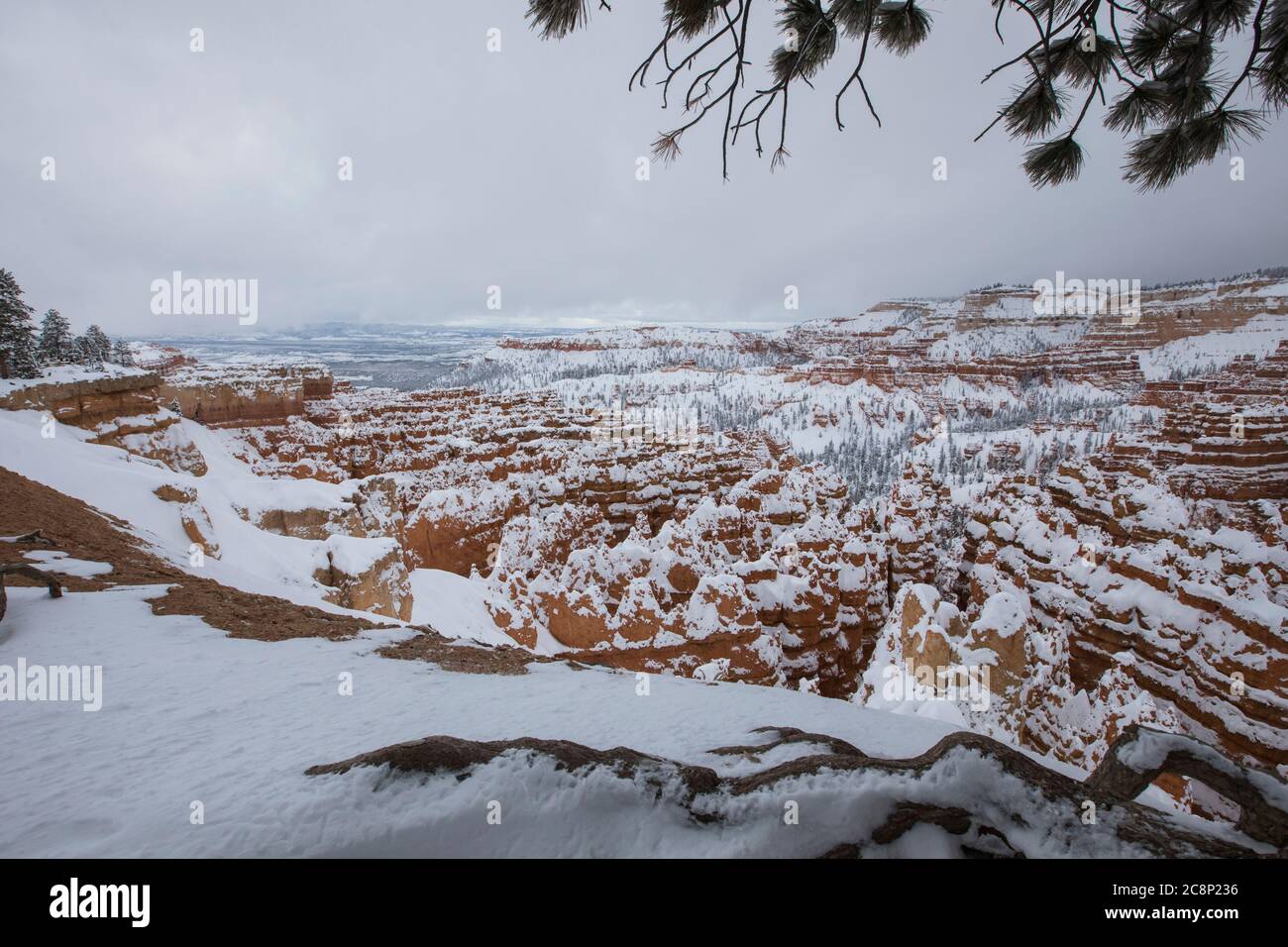 Parc national de Bryce Canyon dans la neige, Utah, États-Unis Banque D'Images