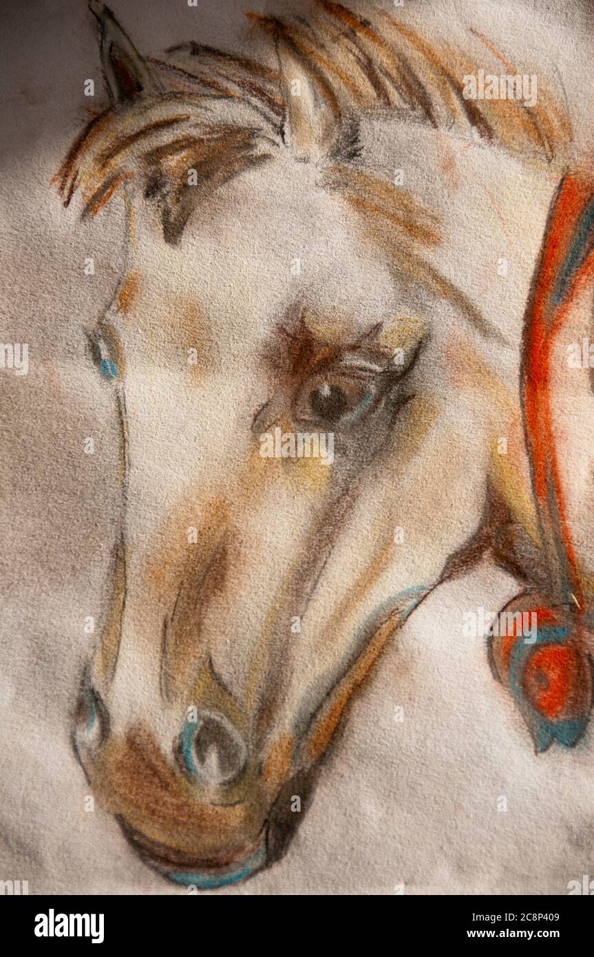 Tête de cheval pastel doux crayons pastel faits à la main un papier d'art blanc (je suis le seul auteur de cette œuvre). Banque D'Images