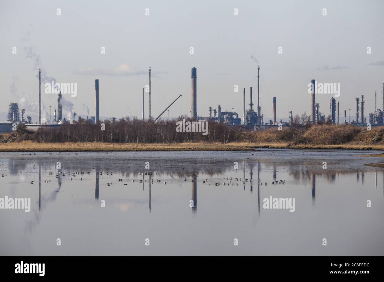 Complexe pétrochimique de Grangemouth. Banque D'Images