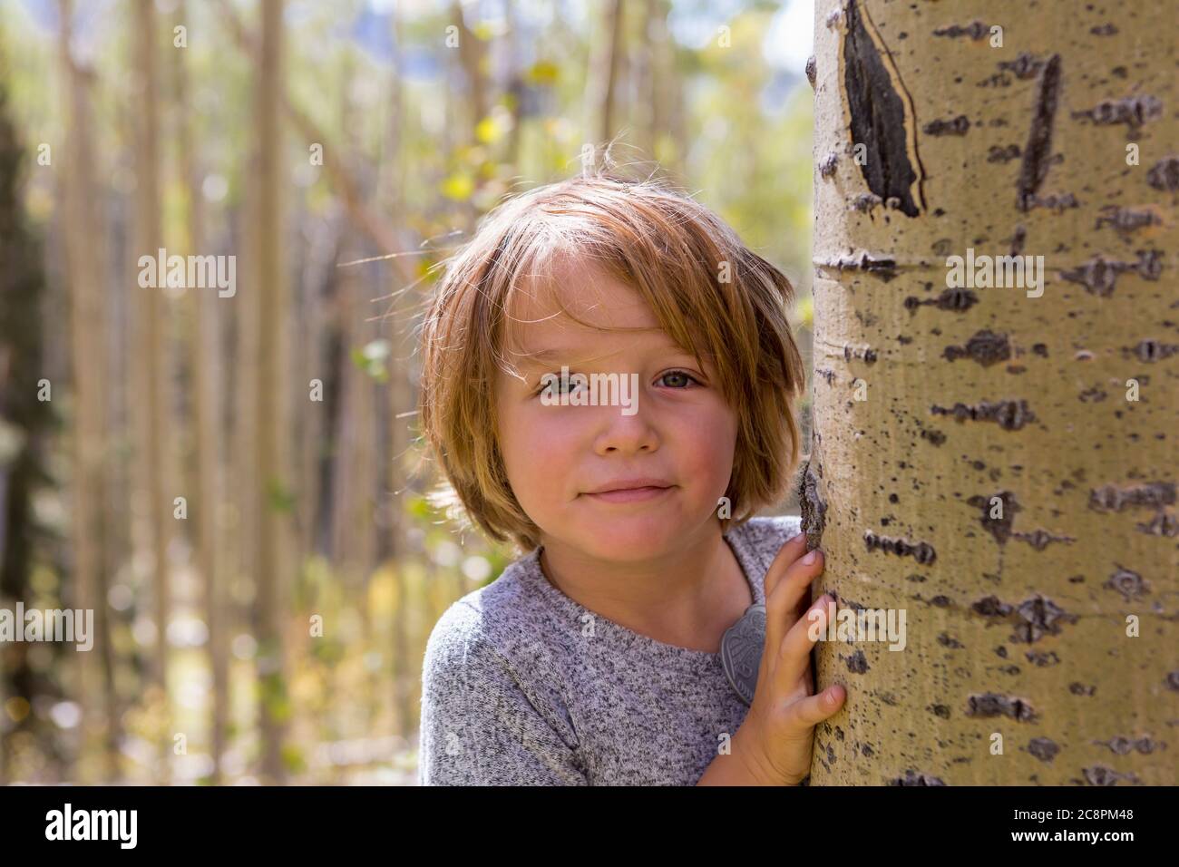 portrait d'un garçon de 4 ans se cachant derrière un arbre de peuplier faux-tremble Banque D'Images