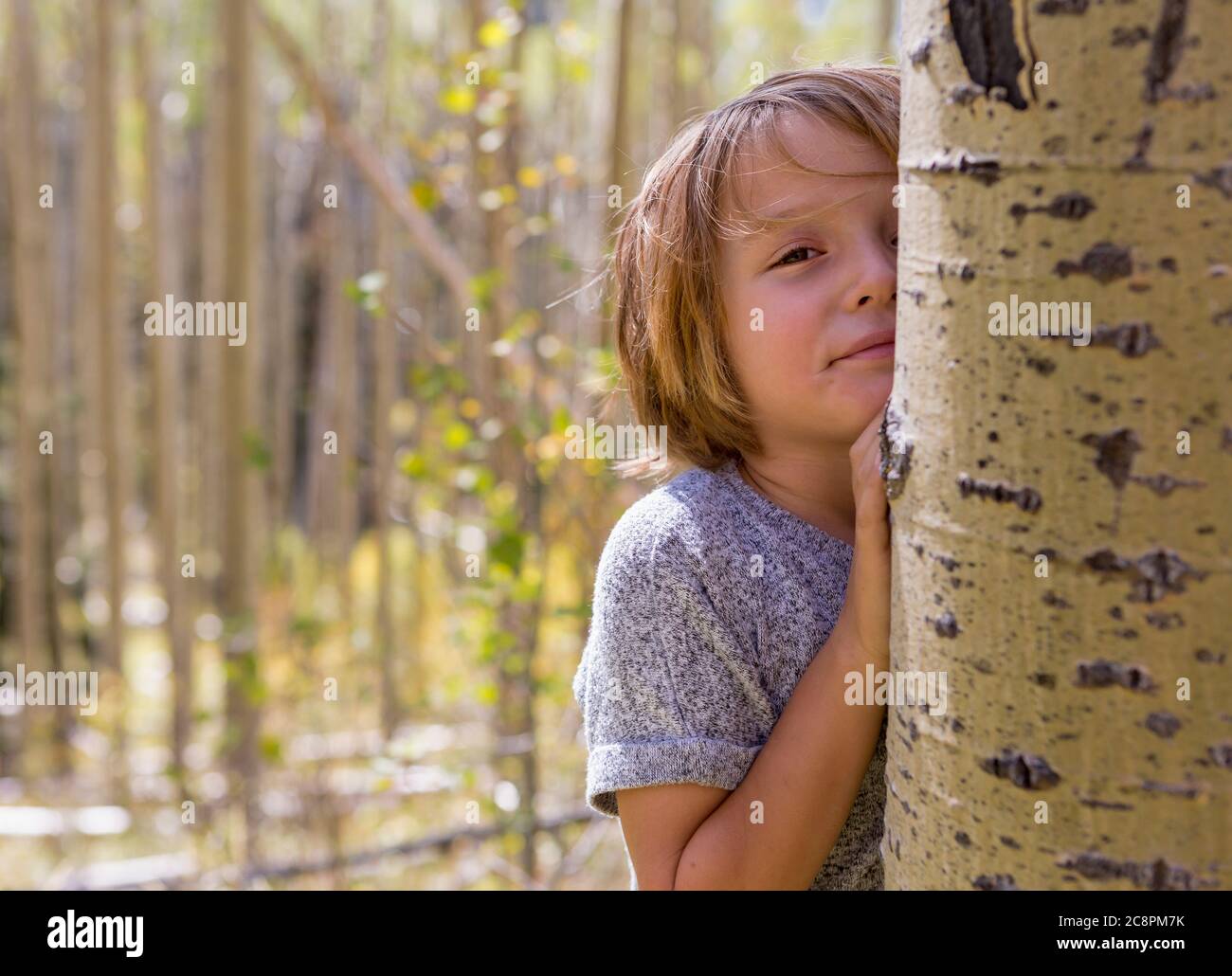 portrait d'un garçon de 4 ans se cachant derrière un arbre de peuplier faux-tremble Banque D'Images