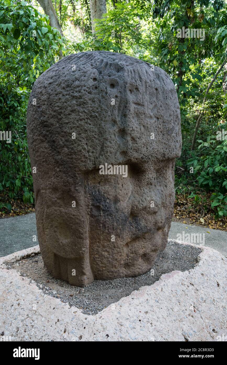 Monument 3, le Jeune guerrier, des ruines d'Olmec de la Venta. Période préclassique (700-400 av. J.-C.). Musée la Venta, Villahermosa, Mexique. Banque D'Images
