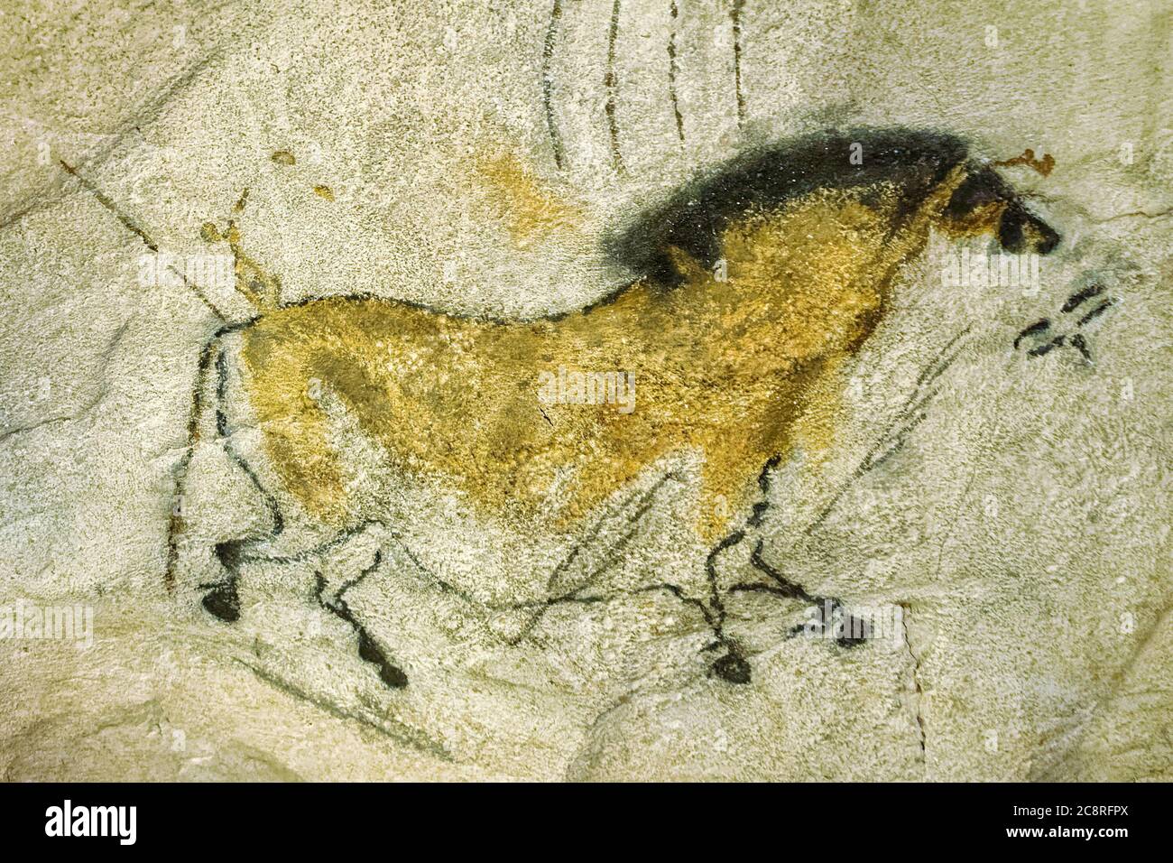 Célèbre peinture rupestre préhistorique des lions, créée il y a environ 32 000 ans dans la grotte Chauvet en France. Cette réplique s'affiche dans le Smithsonian Banque D'Images