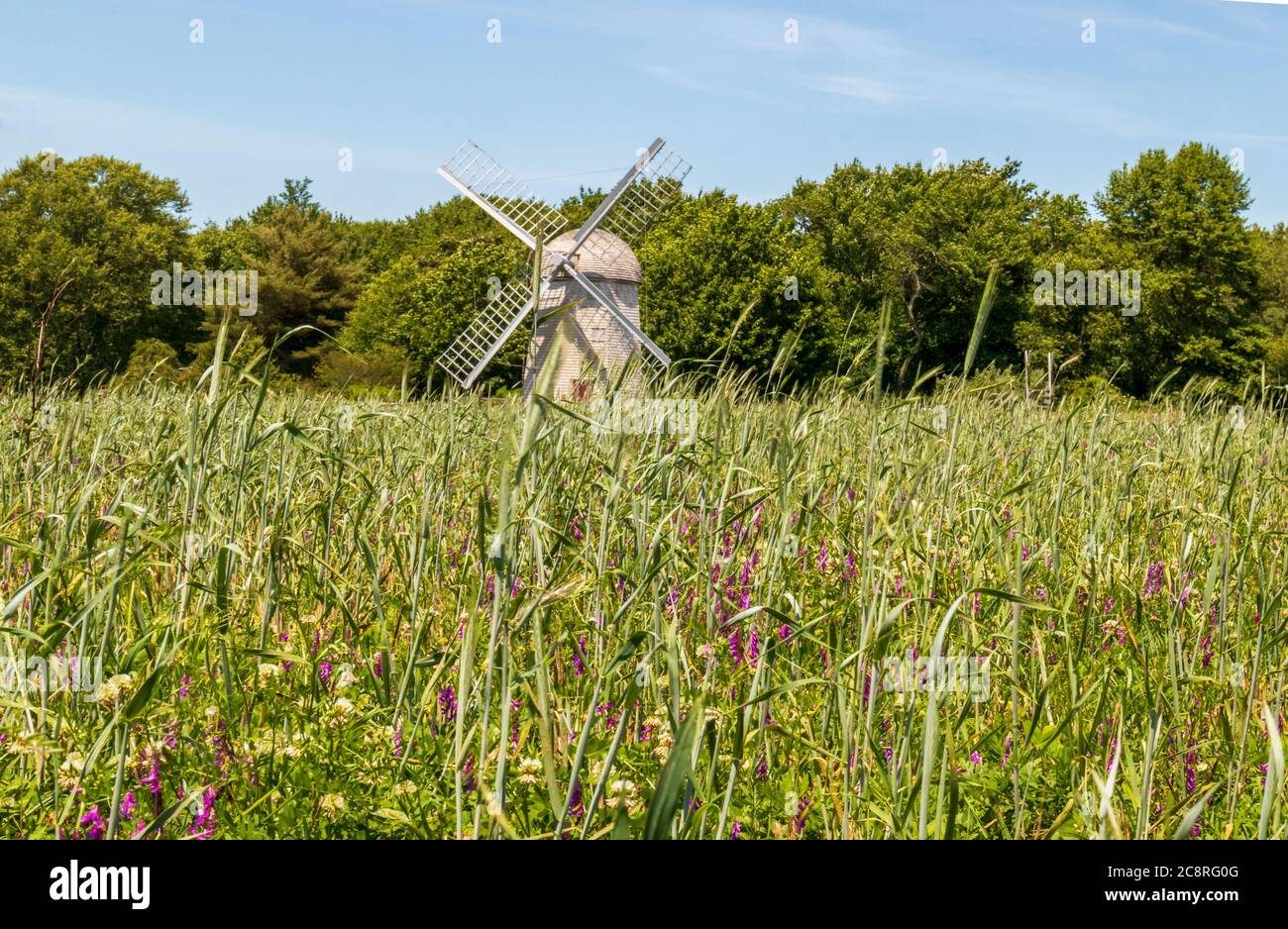 Moulin de Jamestown dans le quartier historique de Windmill Hill, Jamestown, Rhode Island Banque D'Images