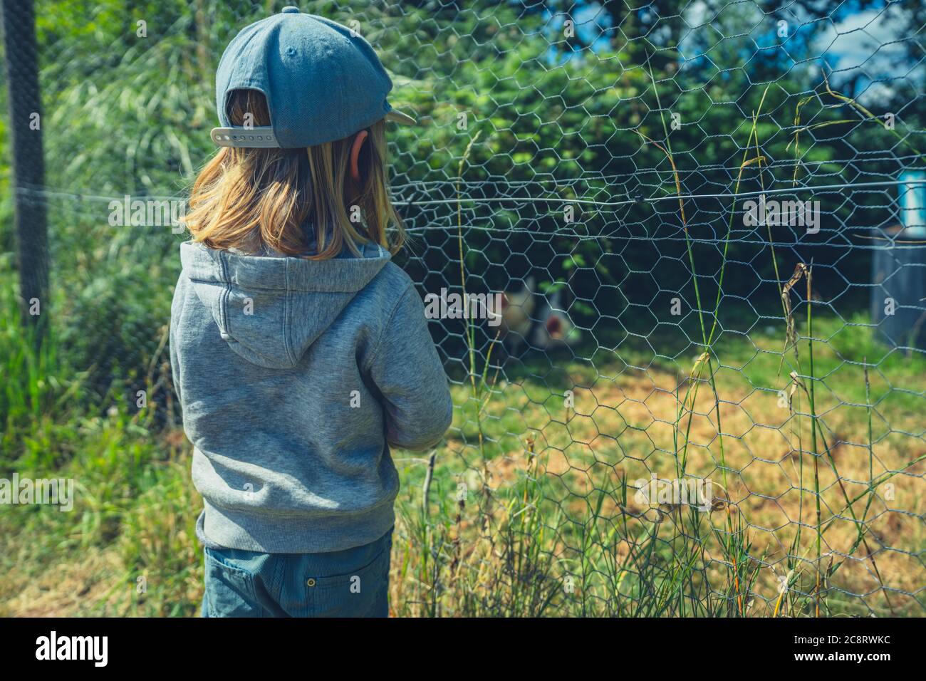 Un pré-chooler est debout près d'une clôture sur une ferme qui regarde les poulets Banque D'Images