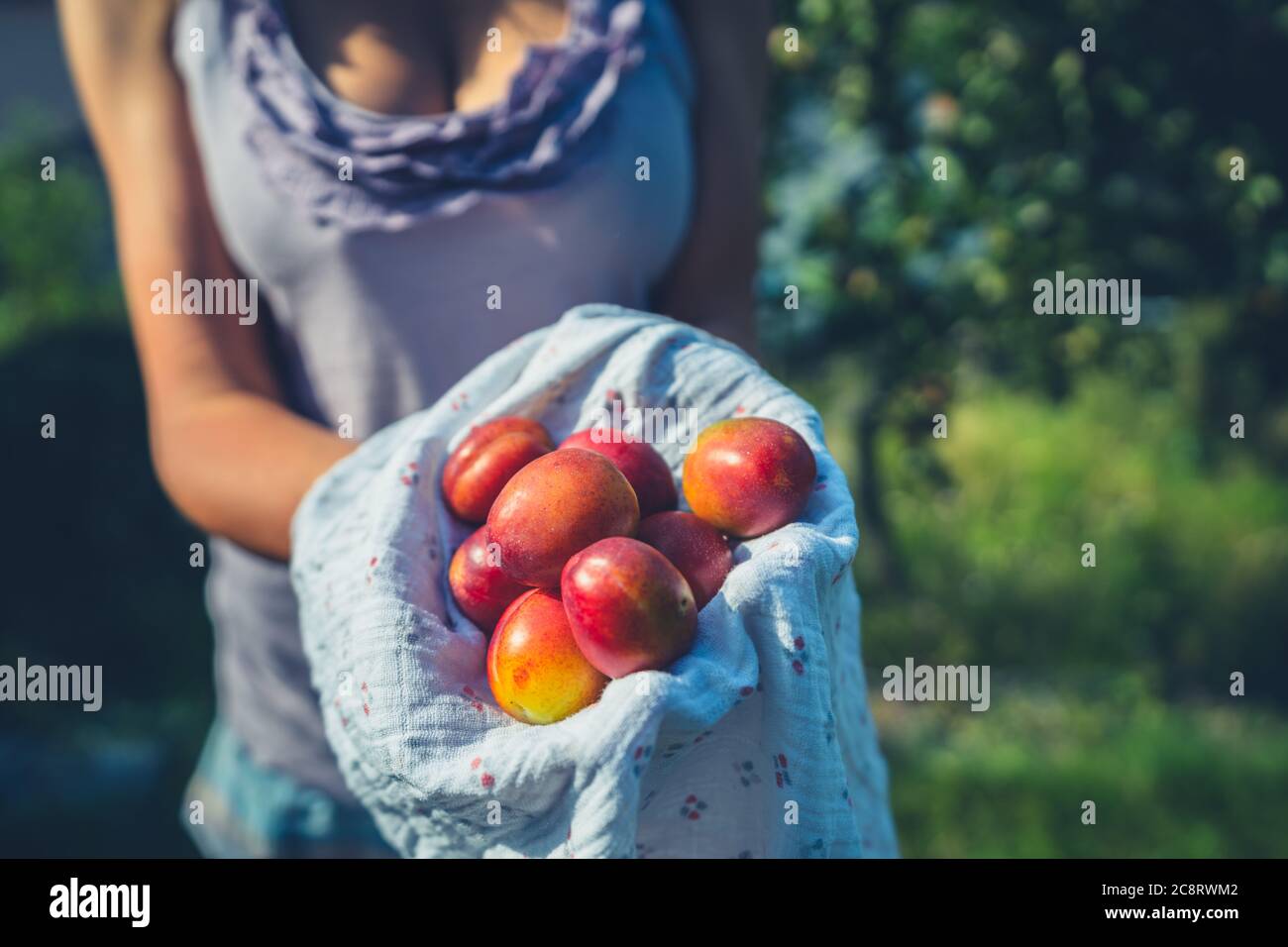 Une jeune femme est debout dans son jardin avec une poignée de prunes Banque D'Images