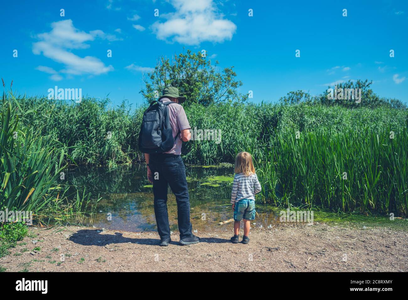 Un pré-chooler est debout près d'un étang en été avec son grand-père Banque D'Images
