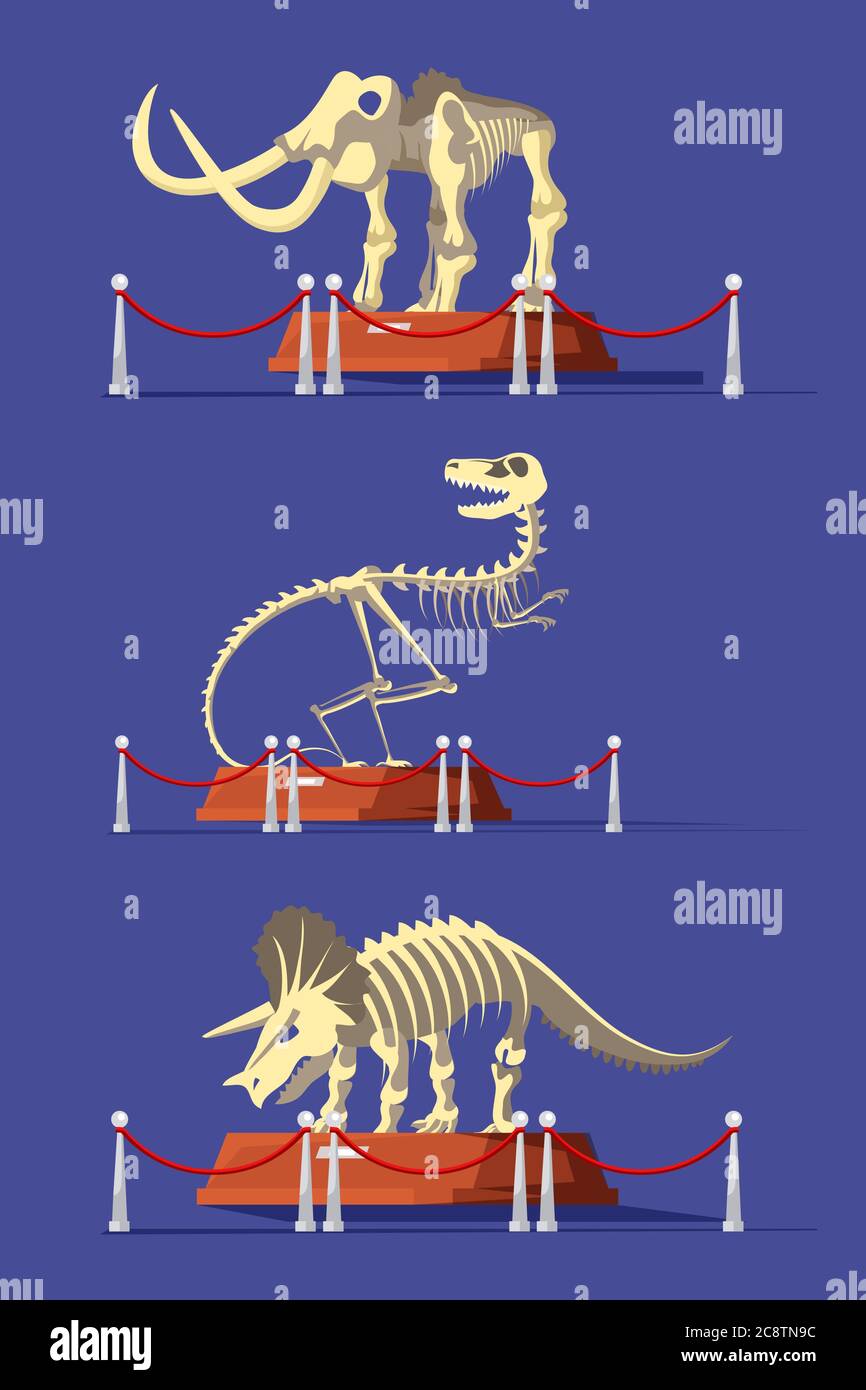 Animaux éteints os vecteur illustrations jeu Illustration de Vecteur