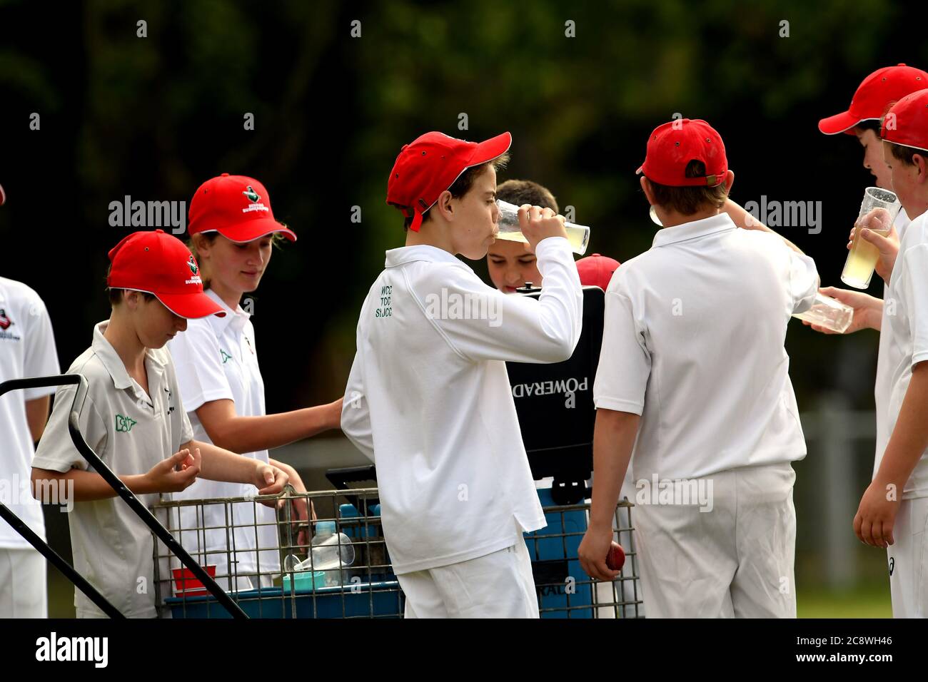 Les jeunes joueurs de cricket font une pause et apprécient la limonade lors d'une chaude journée de printemps à Victoria, en Australie Banque D'Images