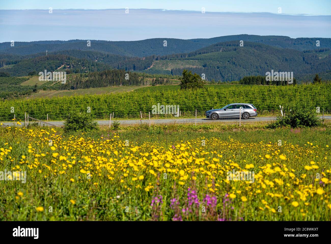 Hochsauerland-Höhenstrasse, route de campagne, route panoramique, près de Hoheleye, quartier de Winterberg, B 236, Hochsauerlandkreis, NRW, Allemagne, Banque D'Images