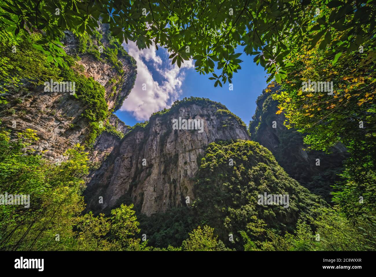 Paysage des immenses murs de roche verticale dans le parc national de Longshuixia Fissure, pays de Wulong, Chongqing, Chine Banque D'Images