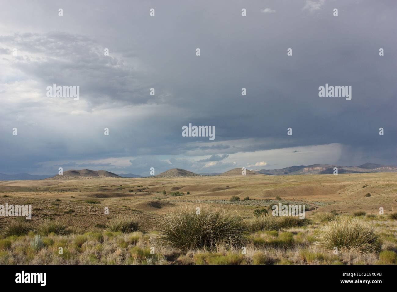 Paysage désertique et spectaculaire avec des prairies arides, des montagnes lointaines et des nuages de pluie sombres et orageux Banque D'Images