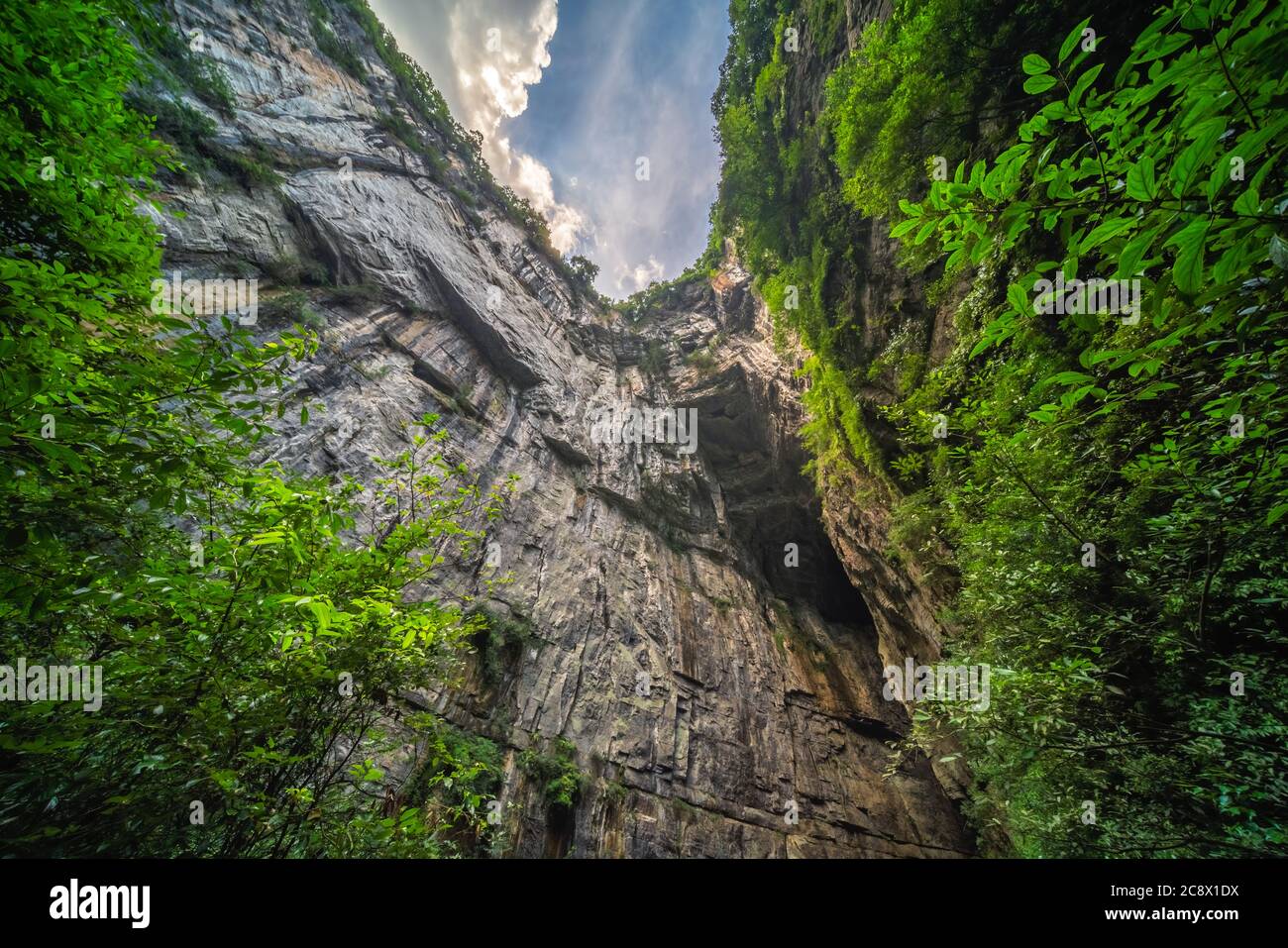 Murs rocheux verticaux massifs au milieu du paysage du parc national de la fissure de Longshuixia, pays de Wulong, Chongqing, Chine Banque D'Images