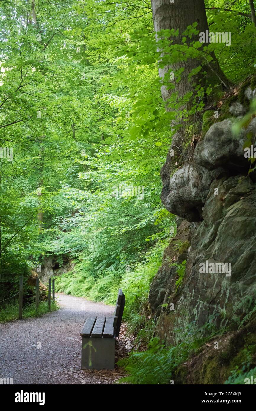 Wühlweg. Chemin de randonnée à travers la forêt entre Brückenpark et Solingen Burg. Banque D'Images