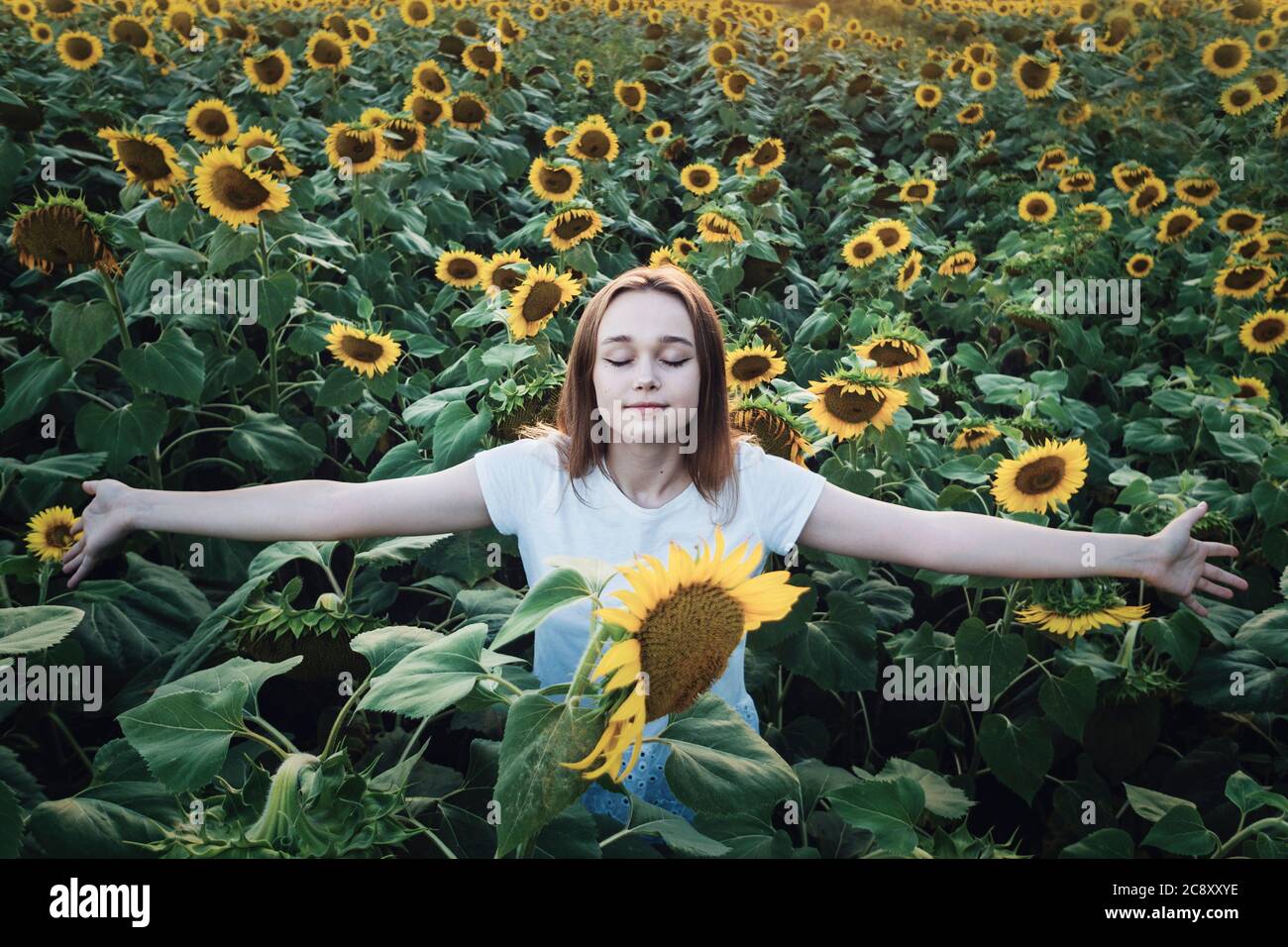 Jeune belle femme souriant et s'amusant dans un champ de tournesol lors d'une journée d'été à bras ouverts. Banque D'Images