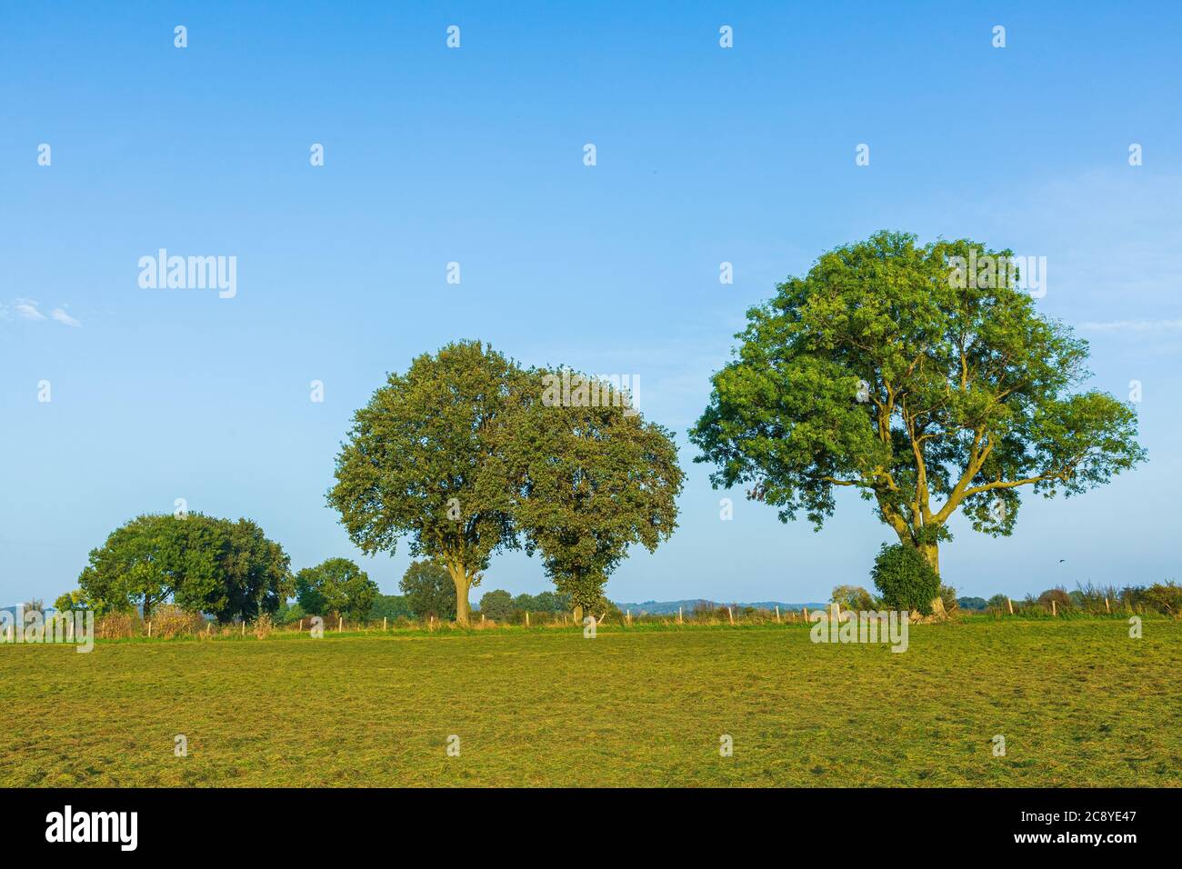 Land van Cuijk, paysage agricole au petit village Cuijk et la Meuse, les  Pays-Bas sous un ciel bleu. Monument touristique populaire fo Photo Stock -  Alamy