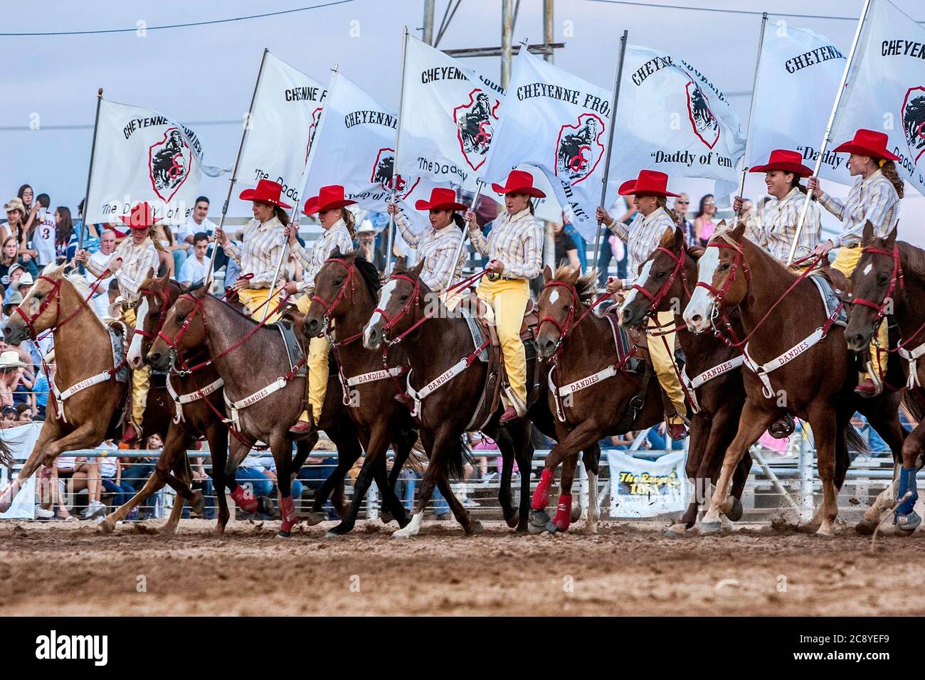 Cheyenne Dandies cowgirl, Rodeo de Santa Fe, Nouveau-Mexique, États-Unis Banque D'Images