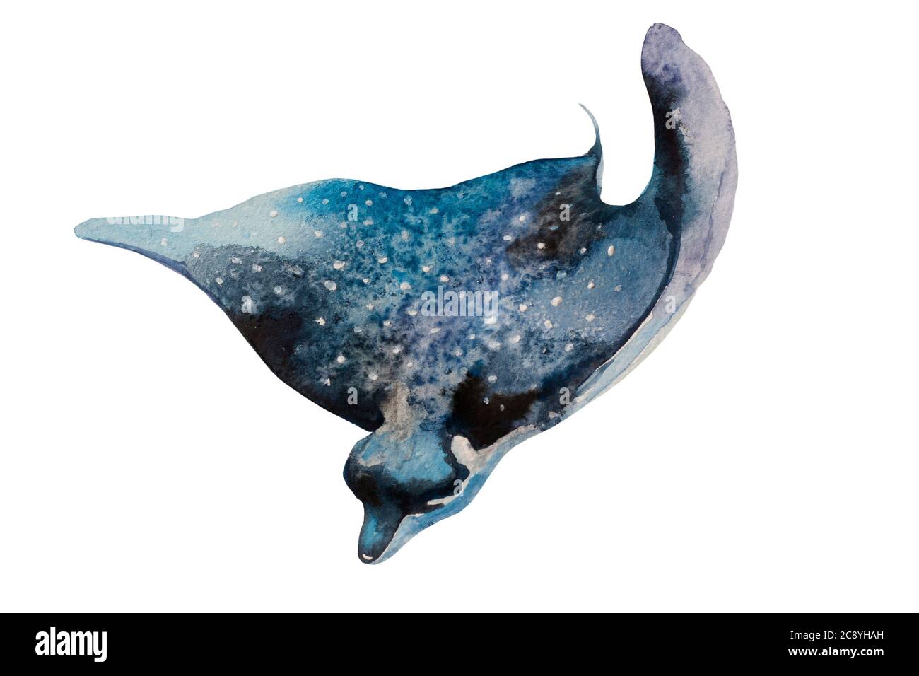 Illustration aquarelle d'un rayon commun d'aigle comme Myliobatis aquila, poisson marin. Patin à pois peint à la main original isolé sur fond blanc Banque D'Images