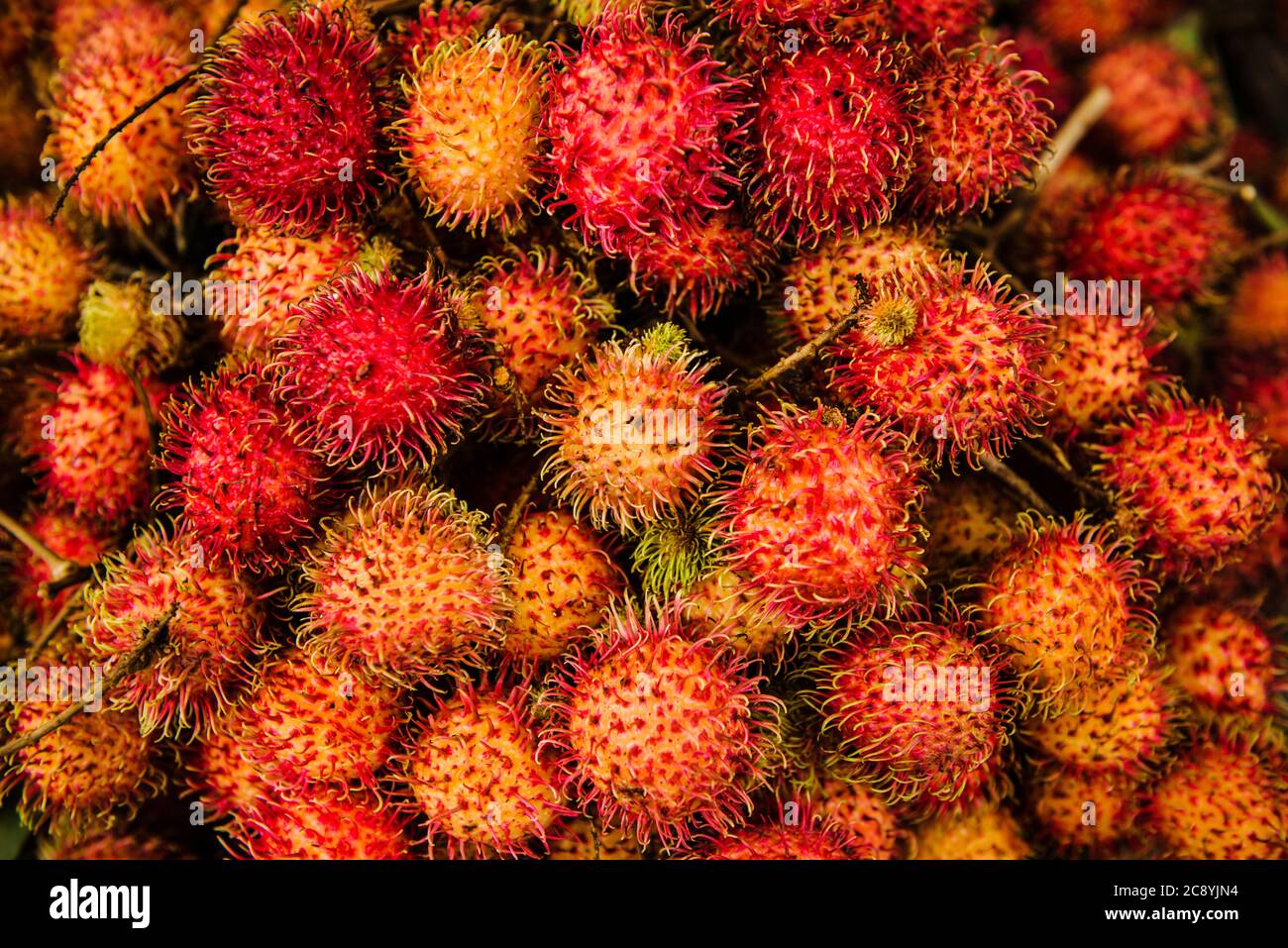 Fruit du ramboutan Vietnam, Asie du Sud-est Banque D'Images
