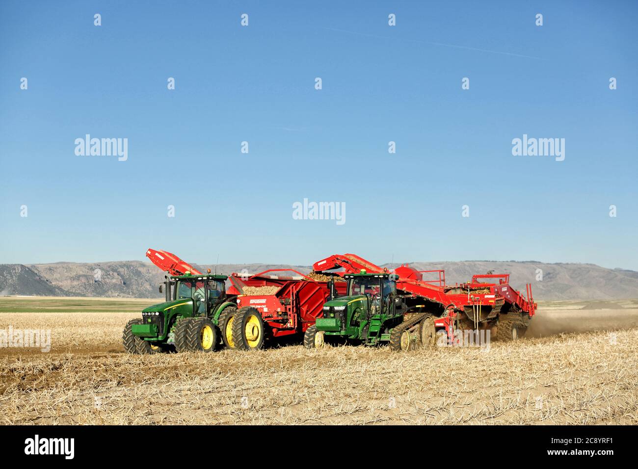 Ririe, Idaho, États-Unis 9 octobre 2012- les agriculteurs et les mains de champs utilisent des machines agricoles pour la récolte des pommes de terre. Les pommes de terre sont creusées par un éolienne, un Banque D'Images