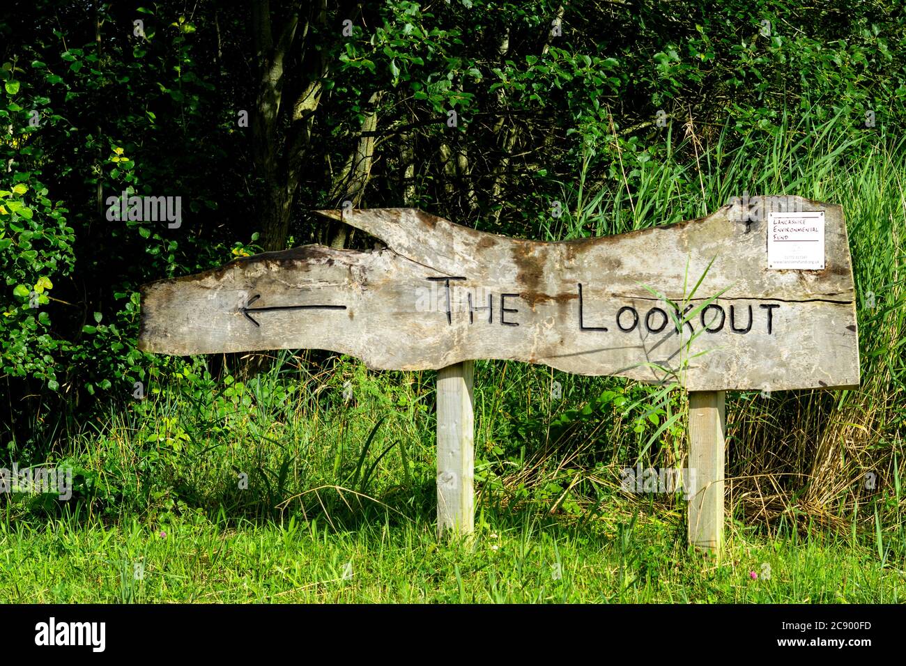 Un emplacement magnifique qui a une promenade dans la nature autour des marais, la forêt et la rivière. Un environnement bien entretenu avec un beau paysage. Une nature Banque D'Images