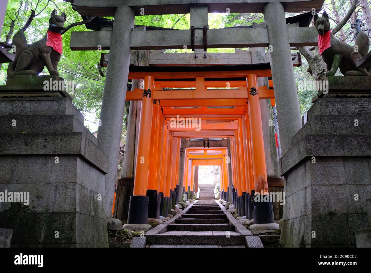 Kyoto Japon - Temple de Fushimi-Inari-Taisha Senbontorii Banque D'Images