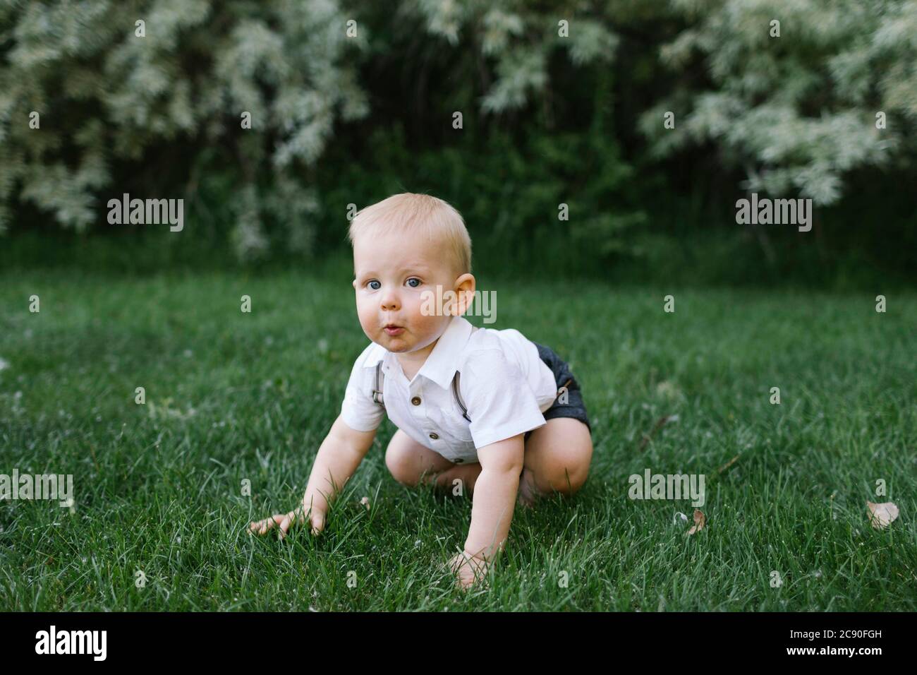 Baby Boy crawling in grass Banque D'Images