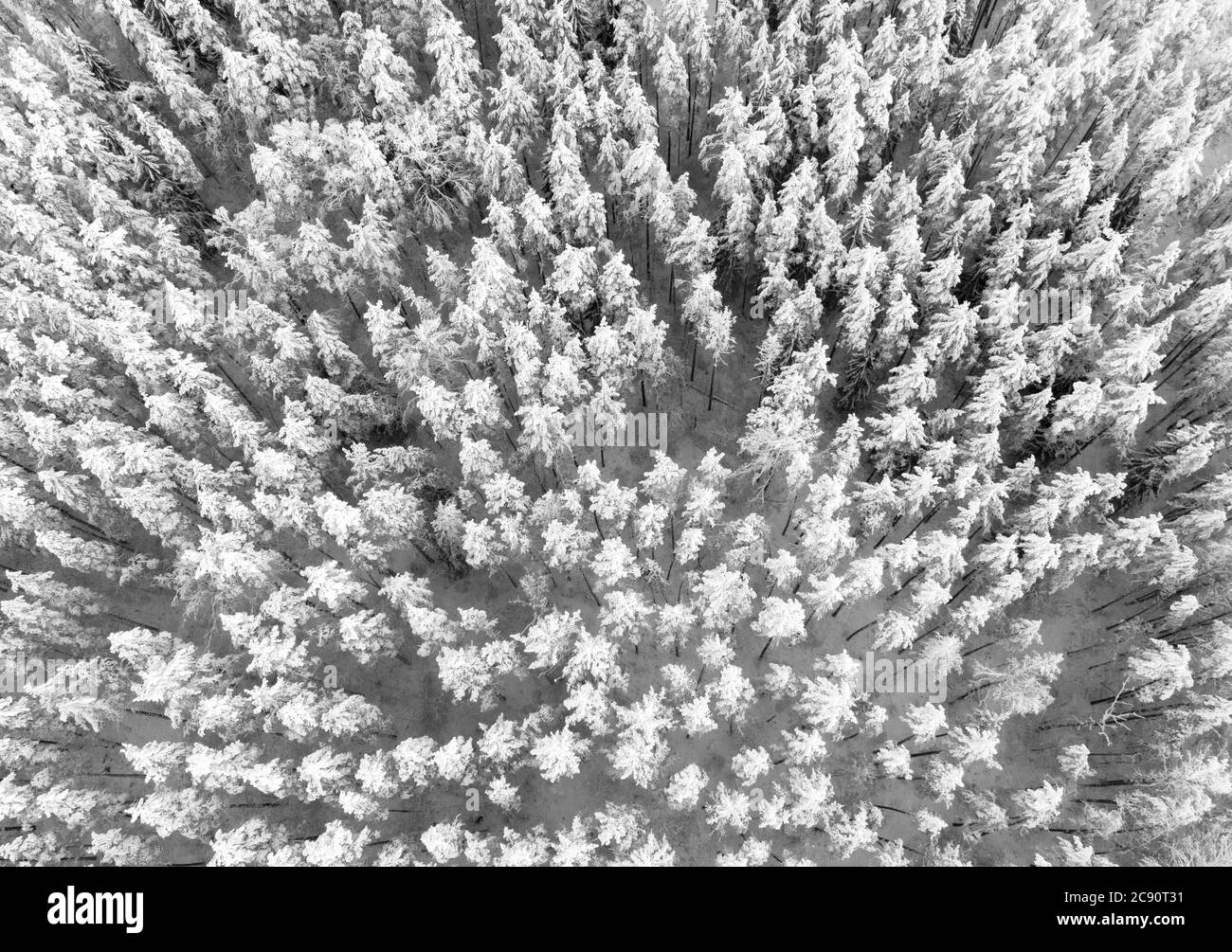 Vue aérienne d'un hiver neige-couvertes de pins. La texture de la forêt d'hiver. Vue aérienne. Drone aérien vue d'un paysage d'hiver. La forêt couverte de neige. Æ Banque D'Images