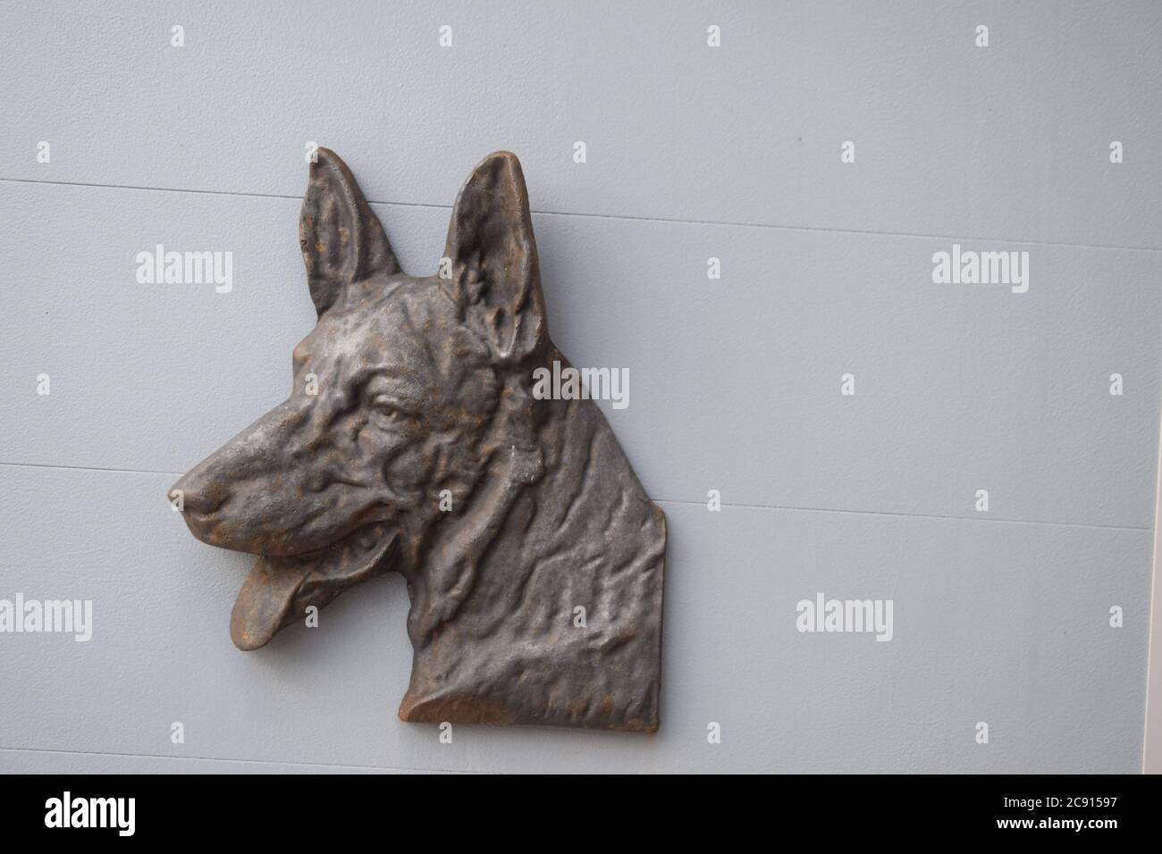 tête de chien Banque D'Images