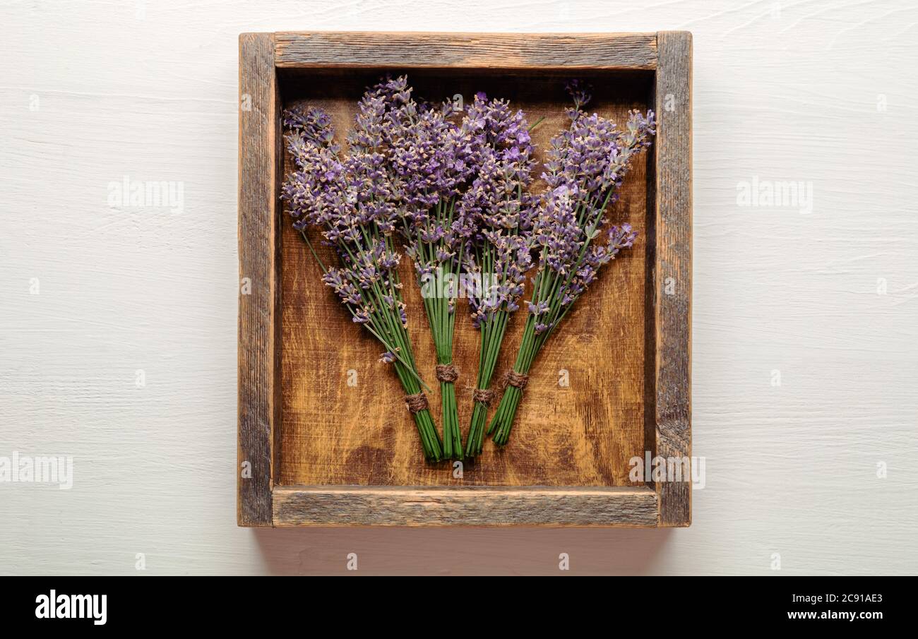 Les bouquets de fleurs de lavande frais sont séchés dans une boîte en bois. Les lapins de fleurs de lavande sèchent. Herbes apothicaire pour l'aromathérapie à la lavande. Vue de dessus blanc Banque D'Images