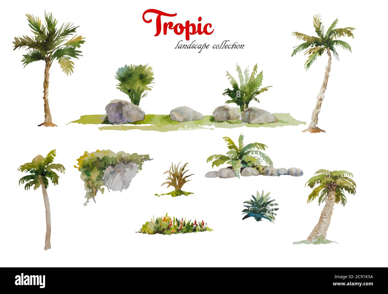 Ensemble de palmiers aquarelles, pierres et plantes tropicales isolées sur fond blanc pour la conception de paysage Banque D'Images