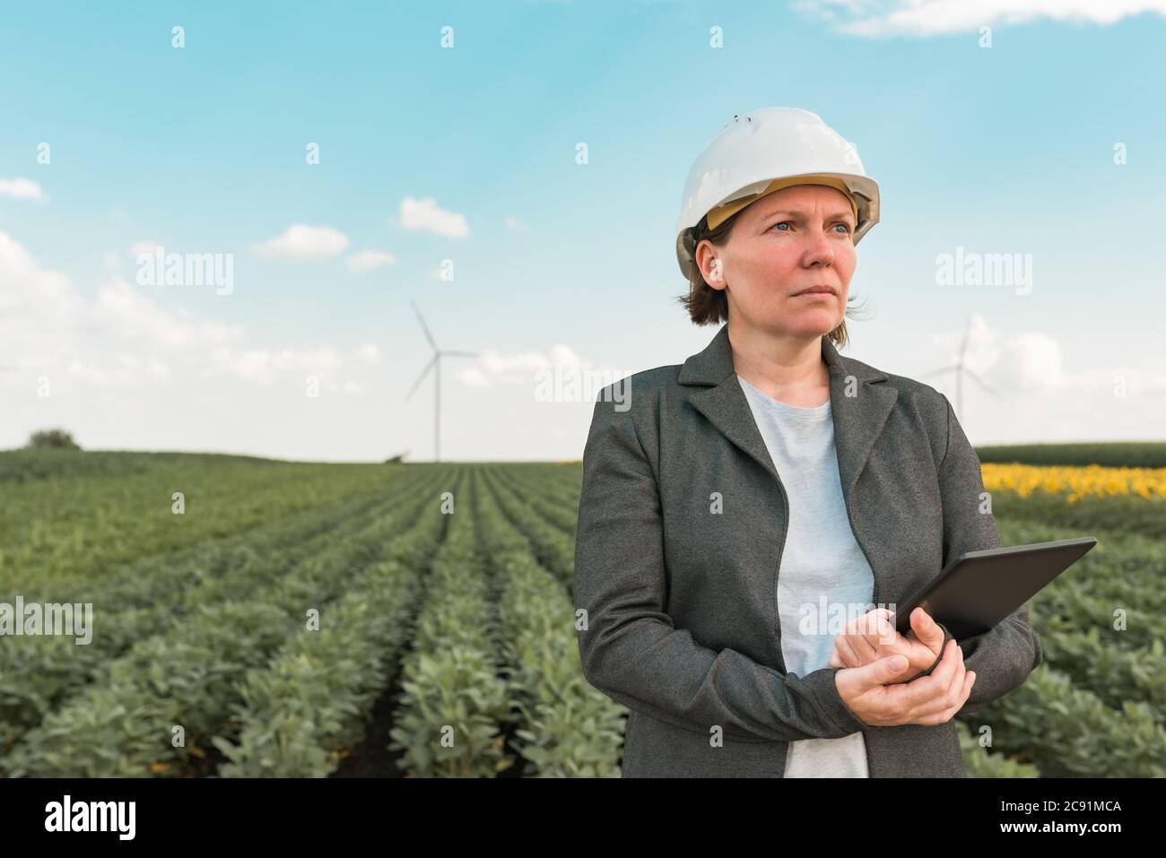 Femme ingénieur avec tablette informatique sur une ferme d'éoliennes moderne pendant la planification de projet d'entretien Banque D'Images