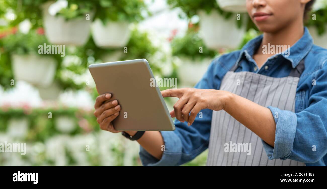 Blog sur l'environnement et la protection des plantes. Femme occupée en tablier travaillant avec une tablette dans l'intérieur de serre Banque D'Images