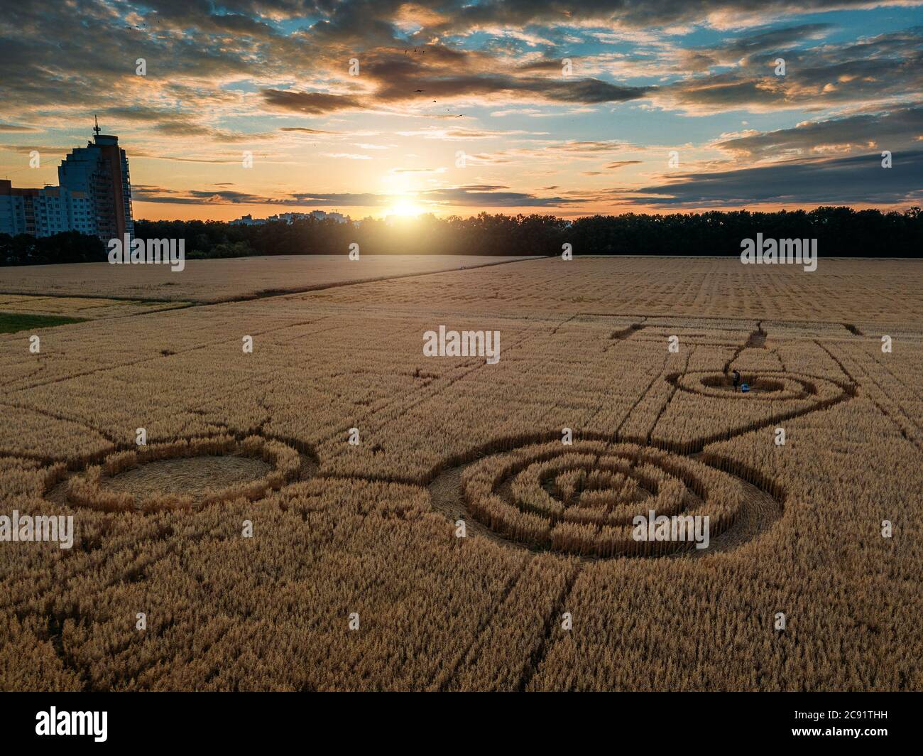 Mystérieux cercle de récolte dans champ d'avoine près de la ville à le coucher du soleil en soirée Banque D'Images