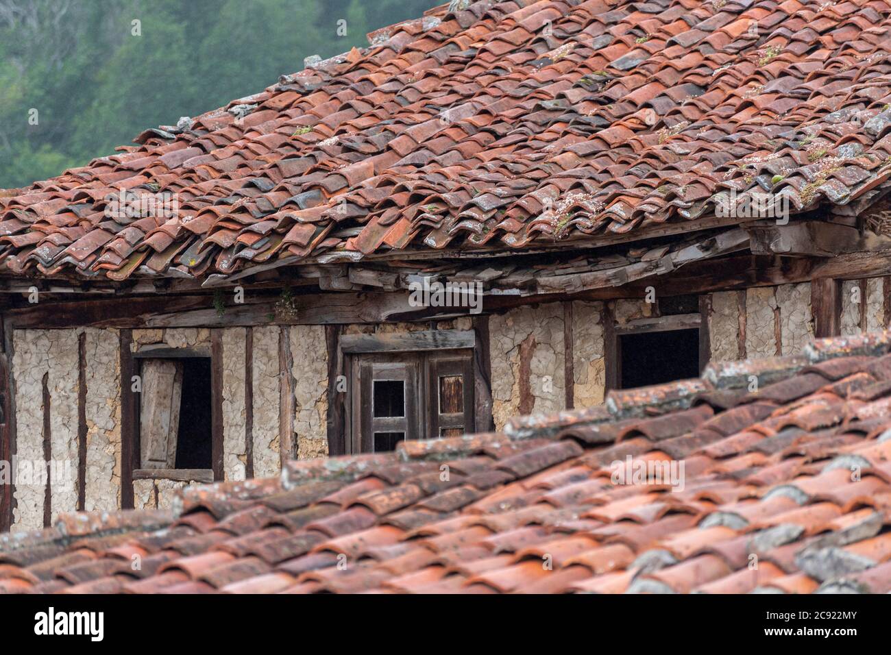 Toits dans le village de Mogrovejo, Cantabrie, Espagne Banque D'Images