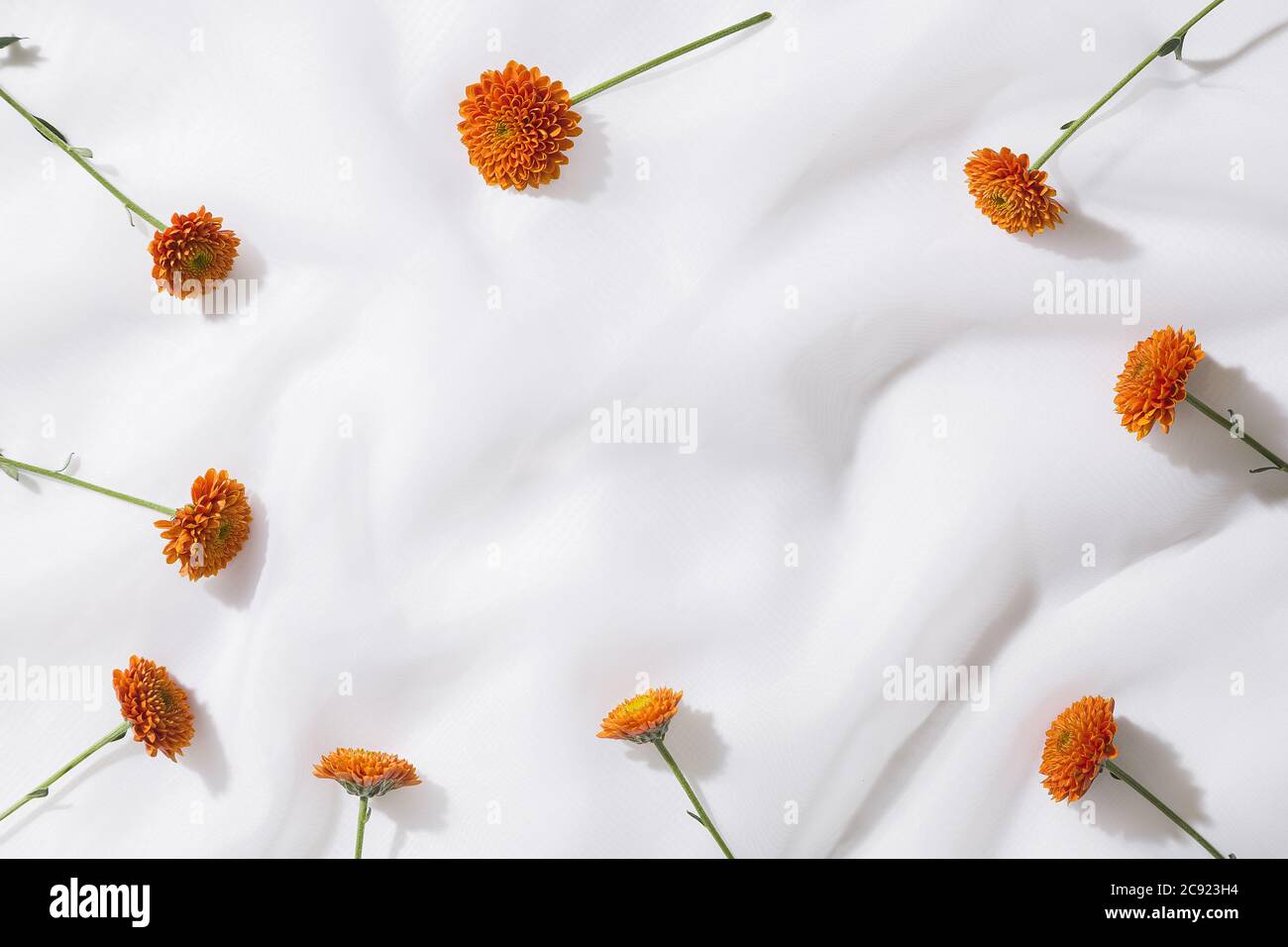 Vue de dessus de l'arrière-plan en tissu voilé avec des fleurs orange et de l'espace pour le texte Banque D'Images