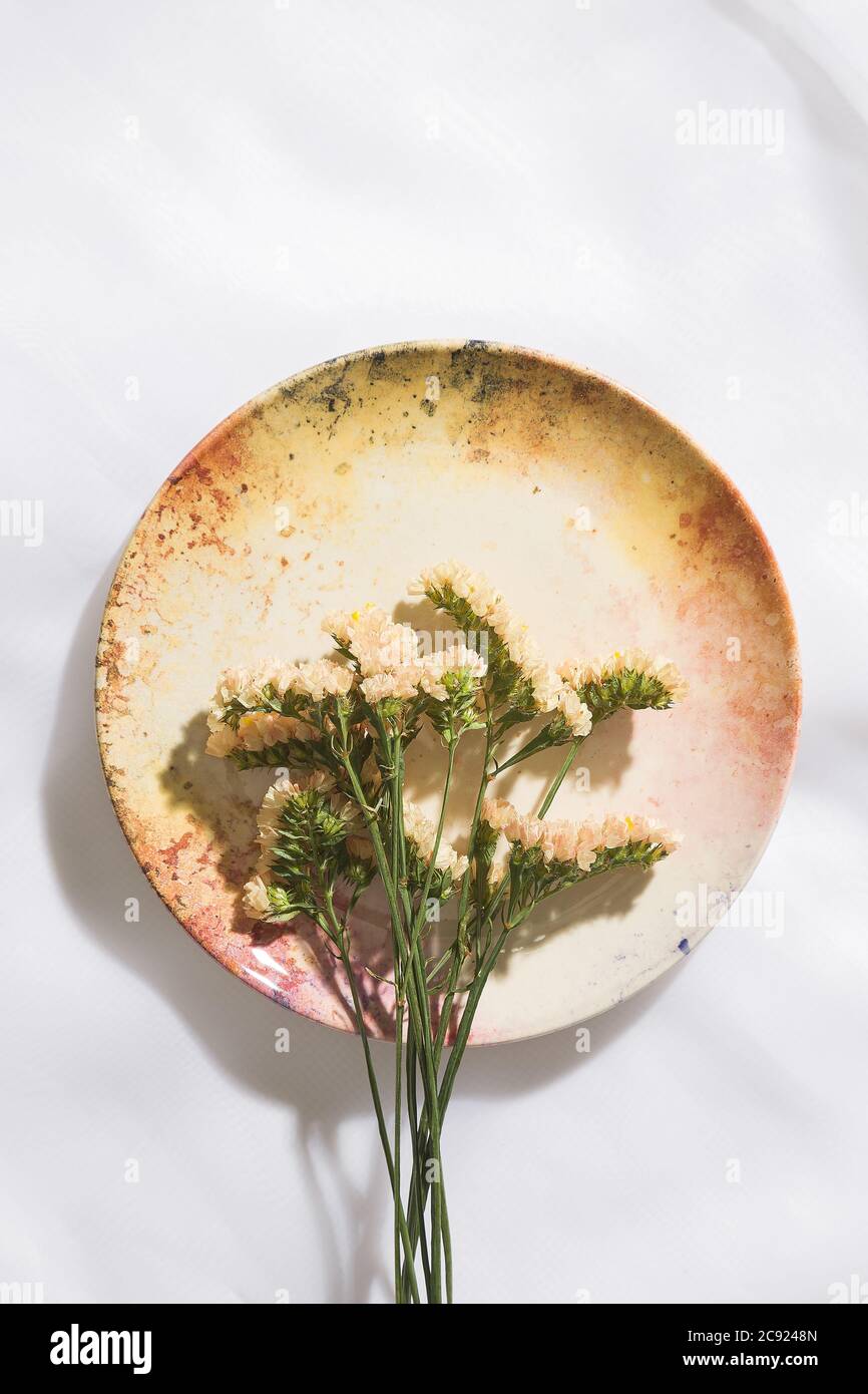 Vue de dessus des fleurs dans une assiette en toile de fond Banque D'Images