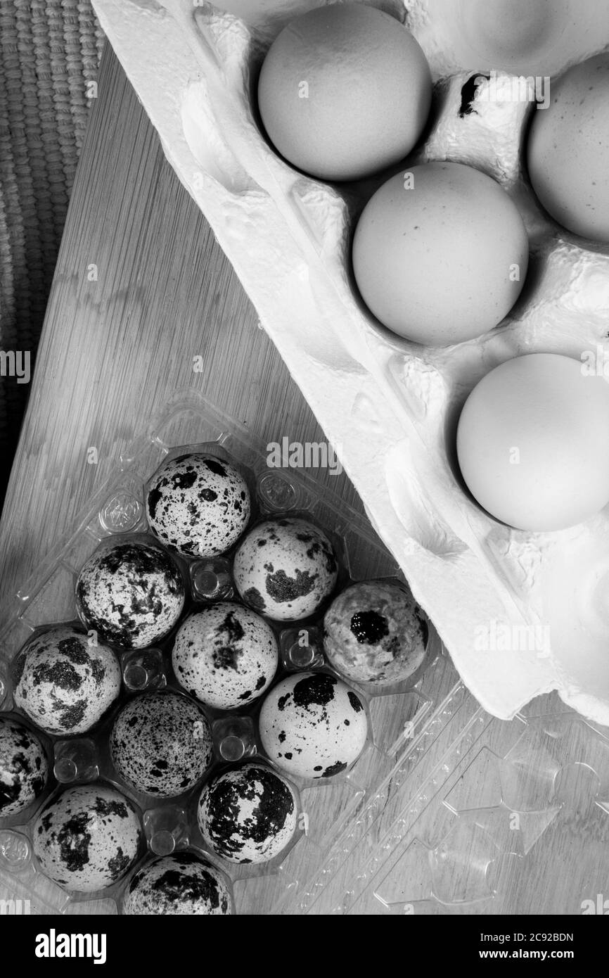 Oeuf Caille Fécondé à Vente En Ligne Oeufs de caille Banque d'images noir et blanc - Alamy